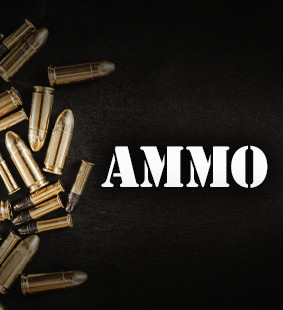 Check out our great selection of ammunition