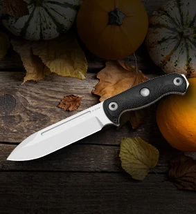 Kizer New Releases for Oct 2026