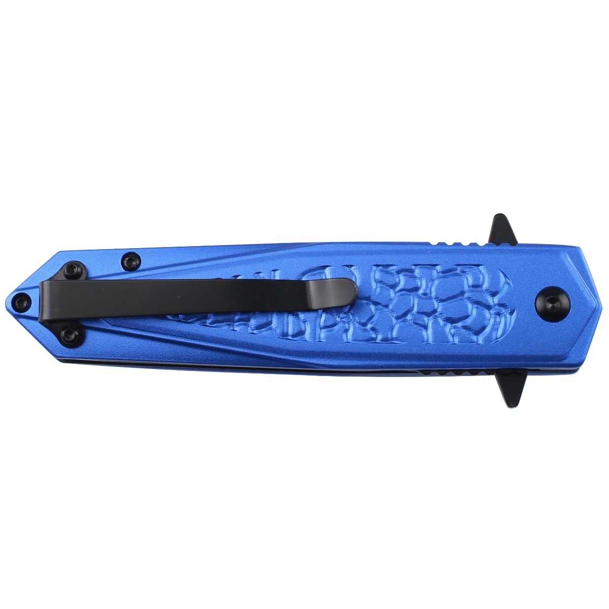 Dark Side Blades Assisted Knife Blue Medusa 3.74in Spear Point DS-A2028BL View 5