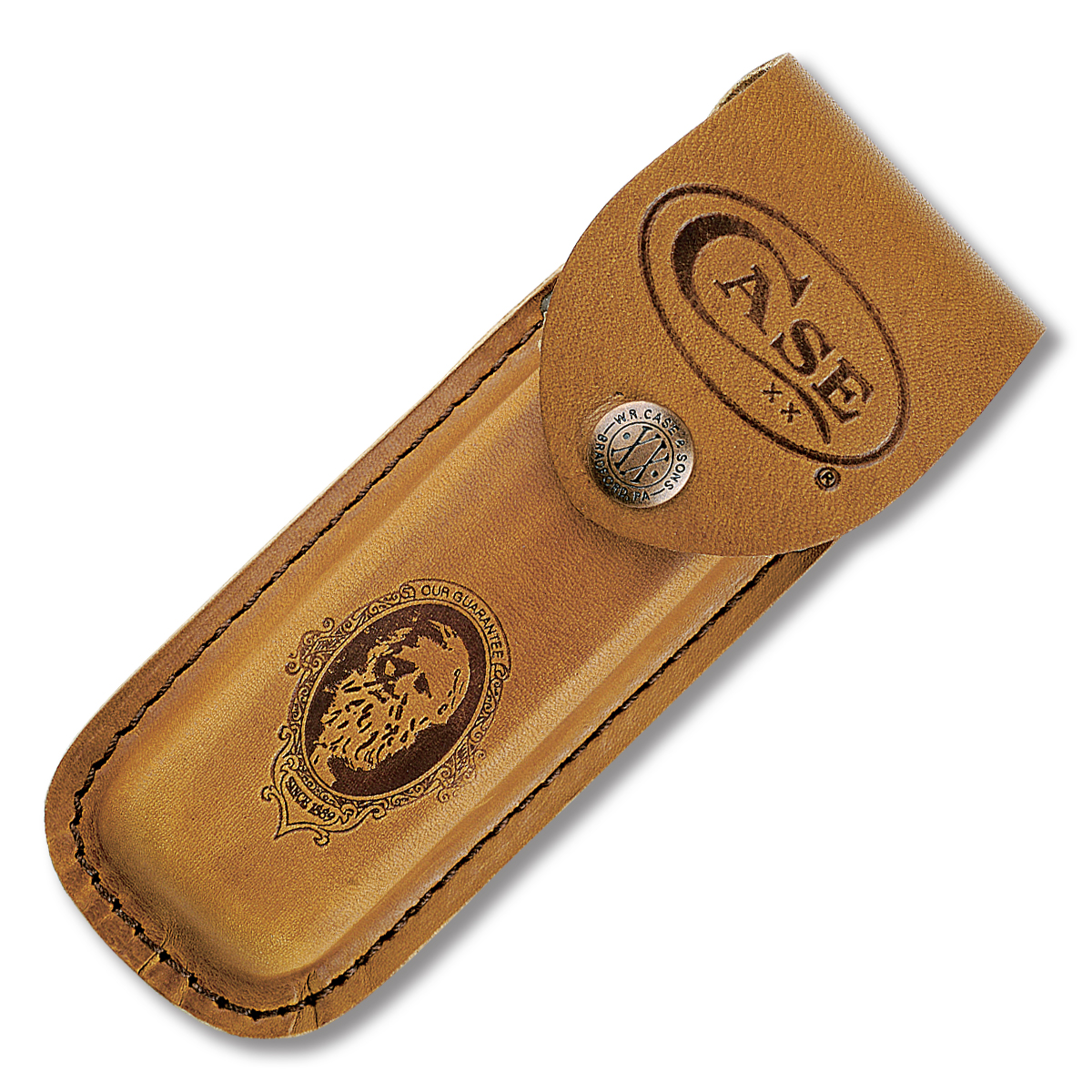Case 6.5 BoneStag Folding Hunter with Sheath CA3574 View 3