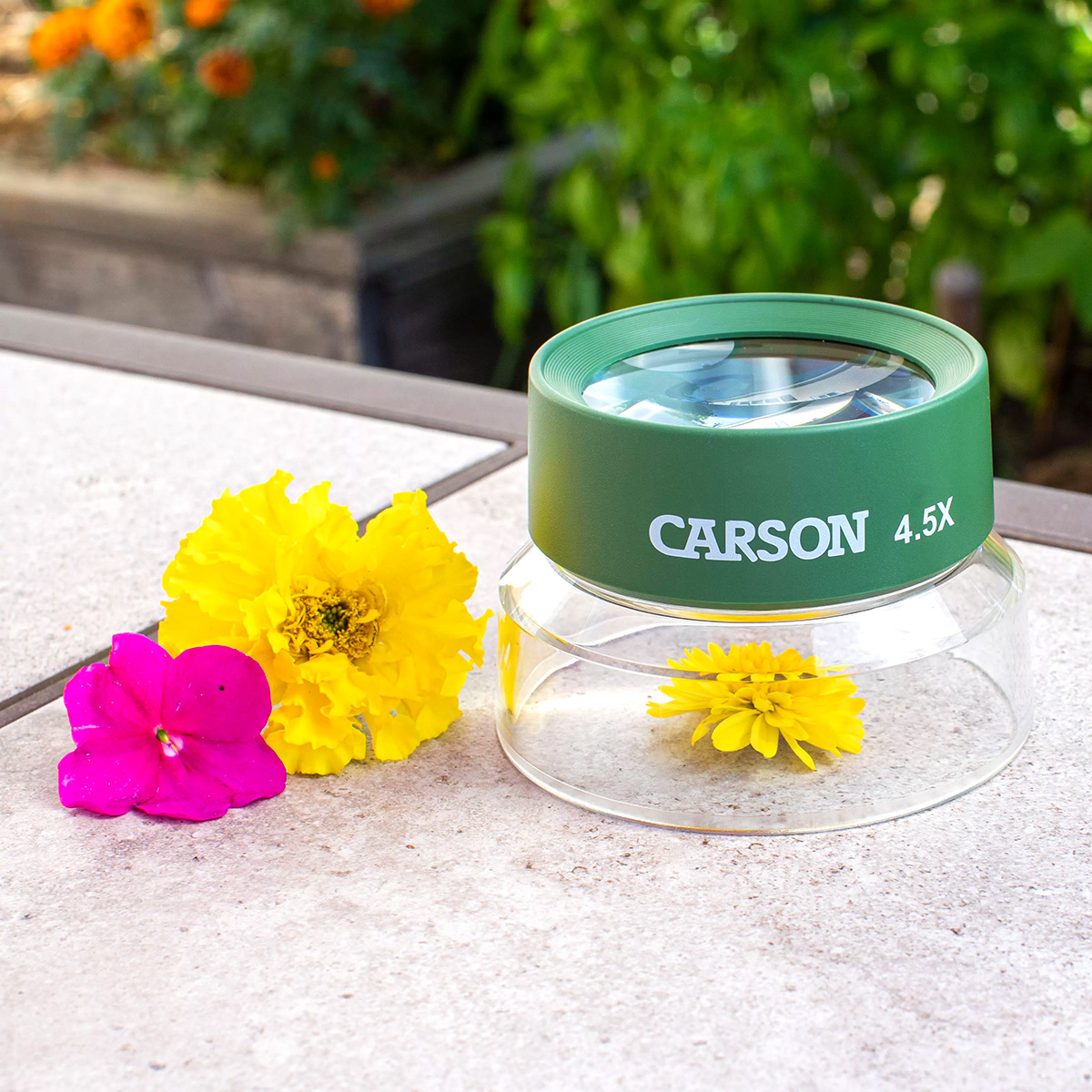 Carson Optical BugLoupe Outdoor Green CHU55 View 2