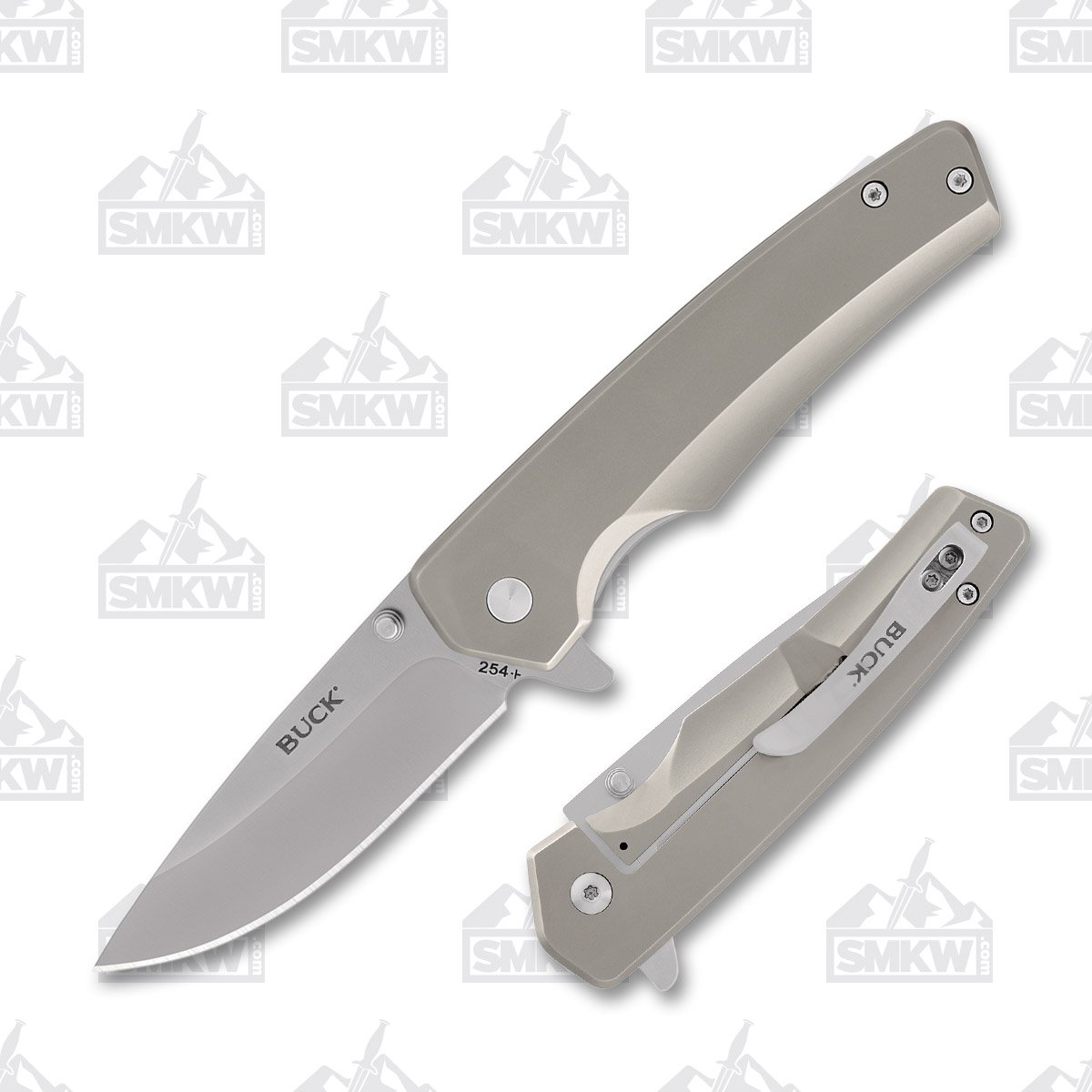 Buck 254 Odessa Folding Knife Gray 3.12in Satin Drop Point Plain Blade BU13052 View 1
