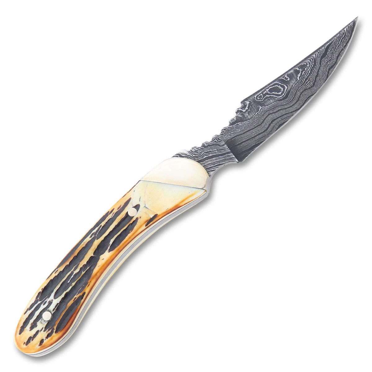 Bear & Son Genuine India Stag Bone Caper Fixed 2.5in Damascus Blade BR5009D View 3