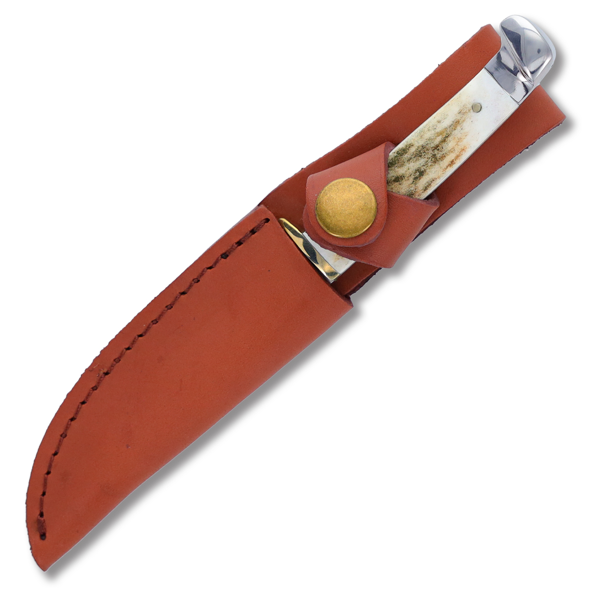 Rough Ryder Small Stag Skinner 3.25 Inch Plain Mirror Polished Skinner RR090 View 4