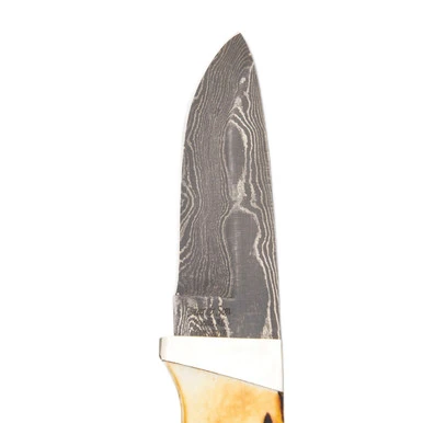 Bear & Son Large Pro Skinner Fixed Blade Knife Stag Damascus View 6