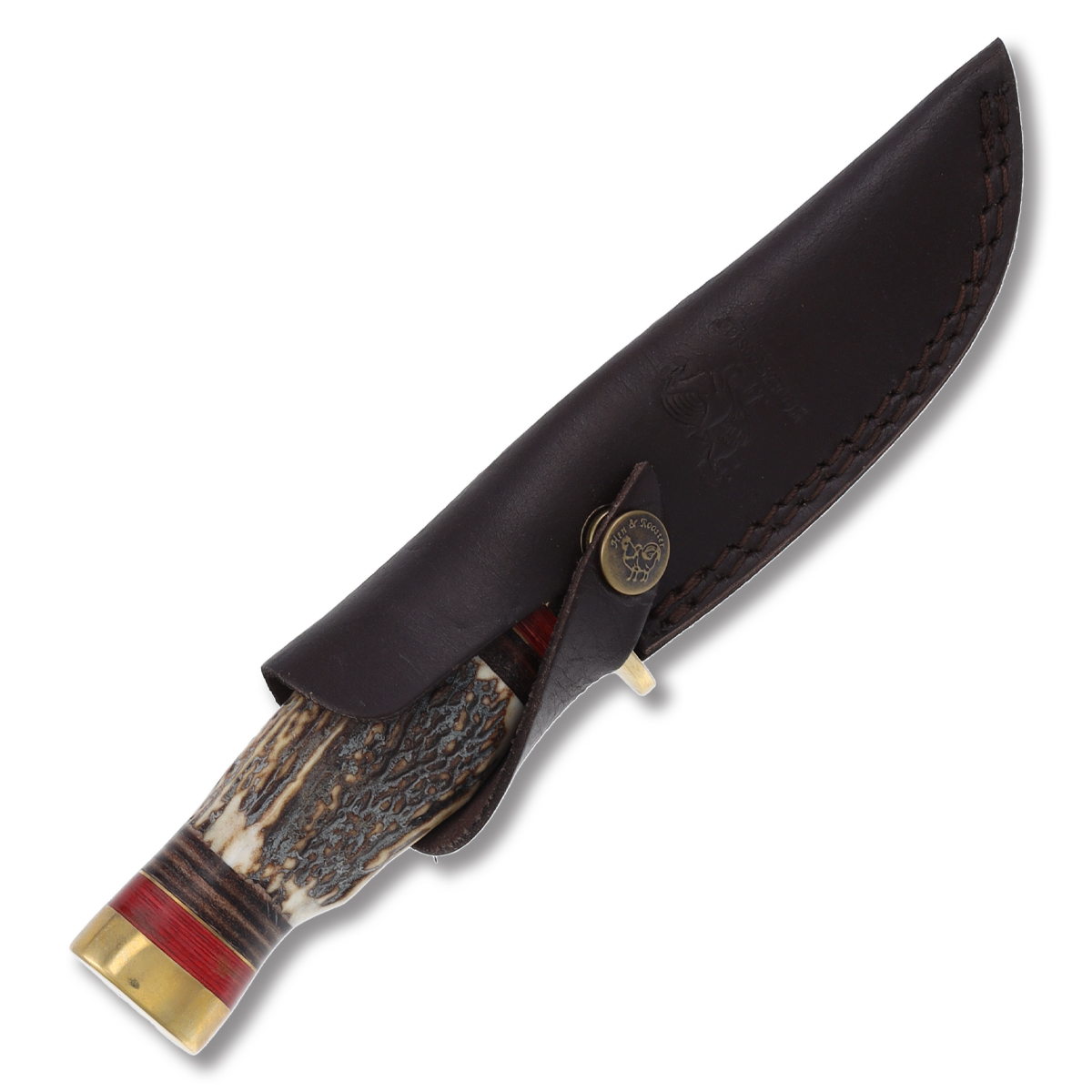Hen & Rooster Fixed Hunting Knife Stag 4.6 Inch Plain Satin Drop Point HRI124DS View 5