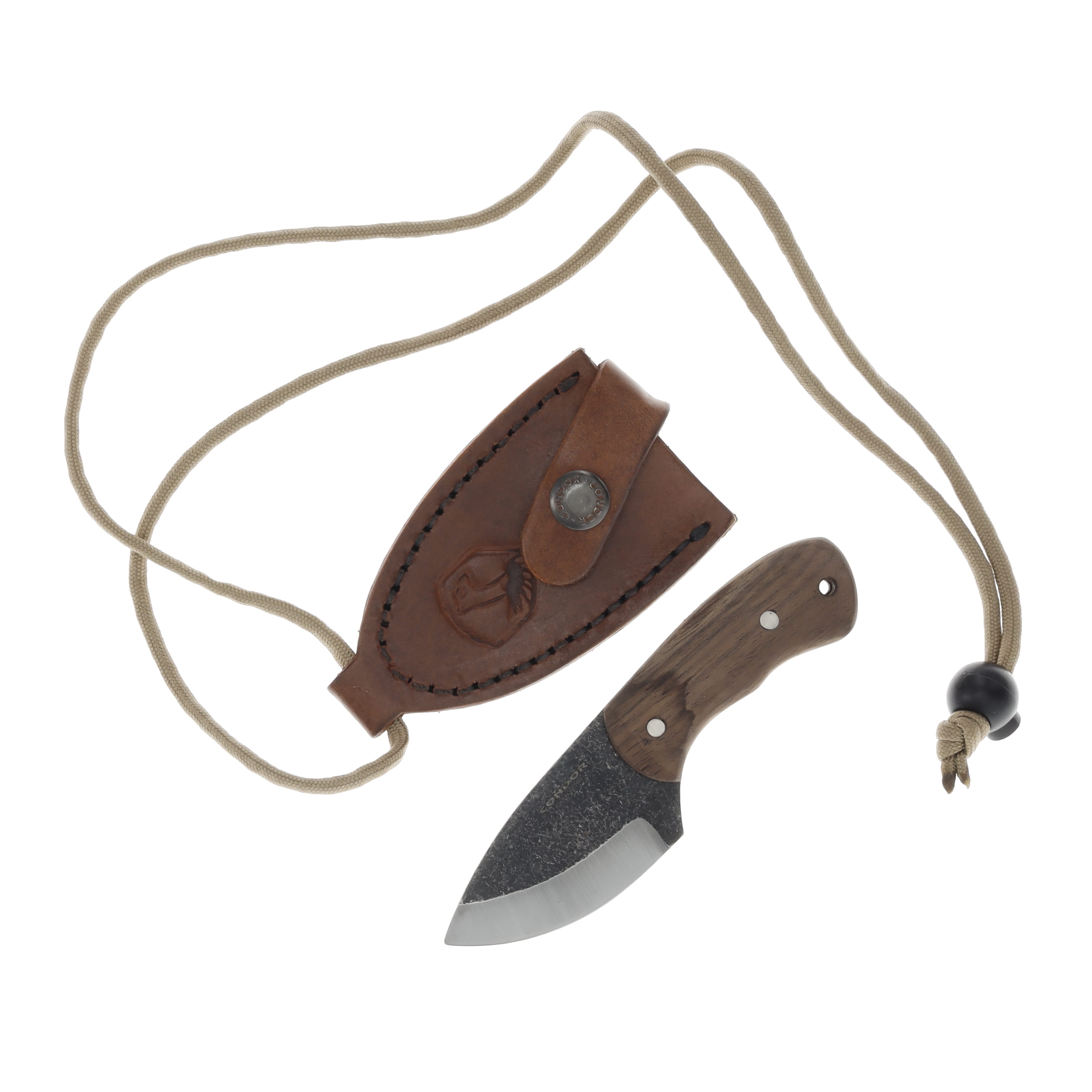 Condor Tool and Knife Beetle Neck Knife Walnut 2.63in Plain Drop Point CTK69719 View 1