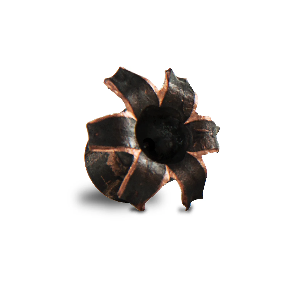Barnes Tac-XPD Defense 45 ACP +P Ammunition 185 Grain Hollow Point 20 Rounds BPD45AP1 View 2