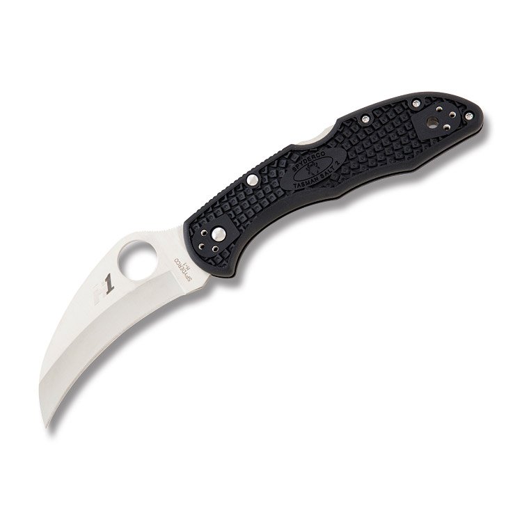 Spyderco Tasman Salt 2 Lockback Folding Knife (Satin | Black FRN) SPC106PBK2 View 1