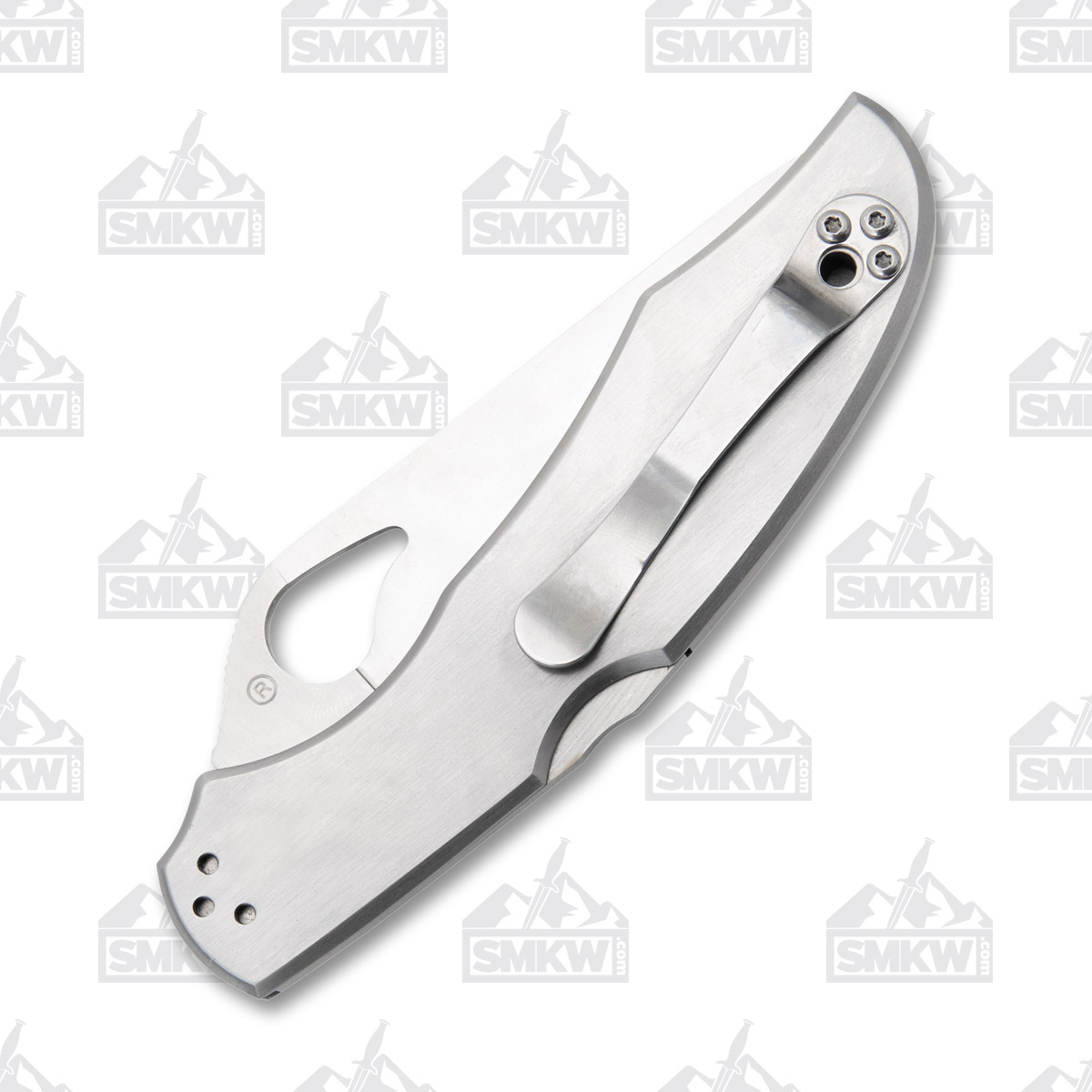 Spyderco Byrd Cara Cara 2 Stainless Folding Knife 3.75in Plain Satin Blade SPBY03P View 6