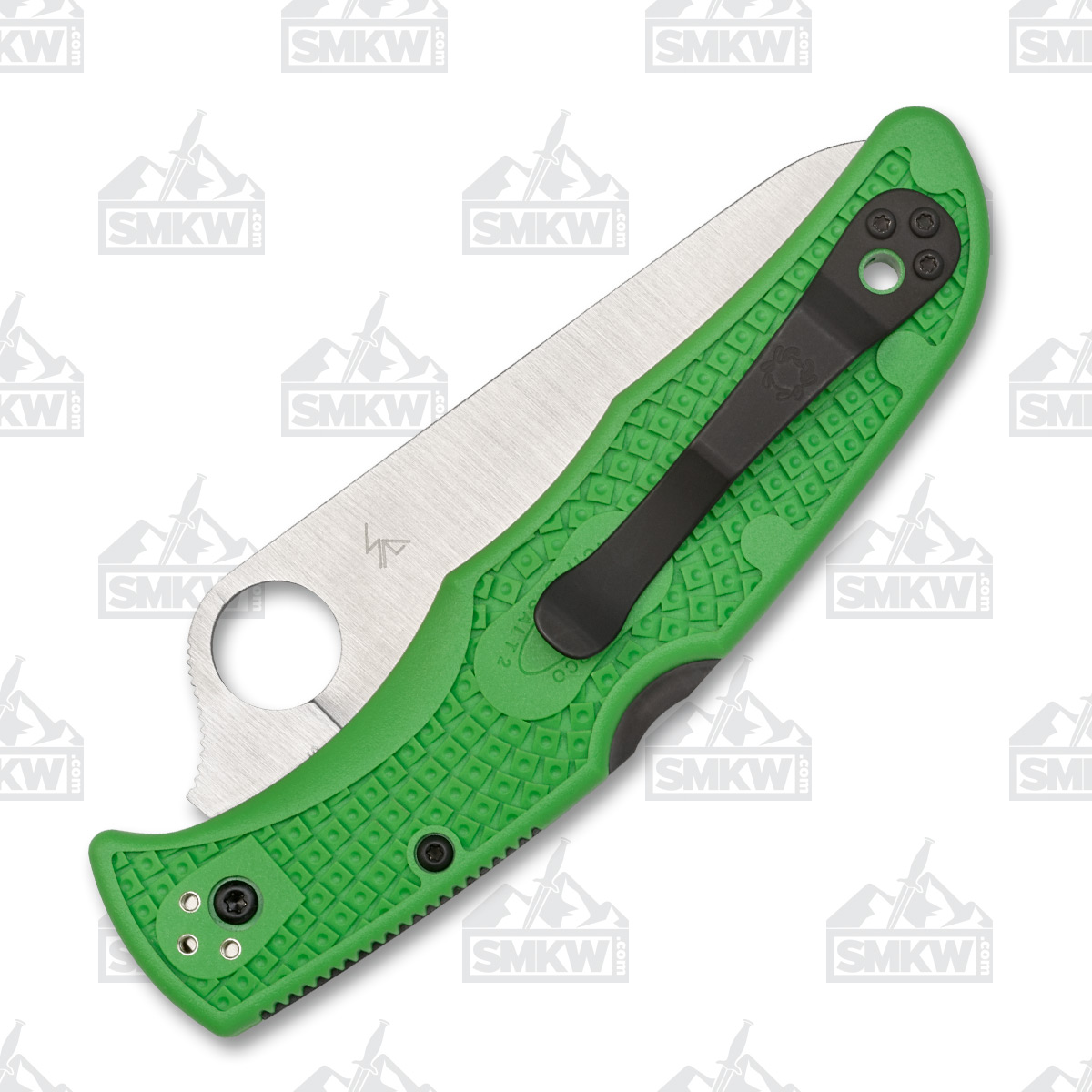 Spyderco Pacific Salt 2 Folding Knife Green FRN 3.78in PlainEdge Blade SPC91FPGR2 View 3