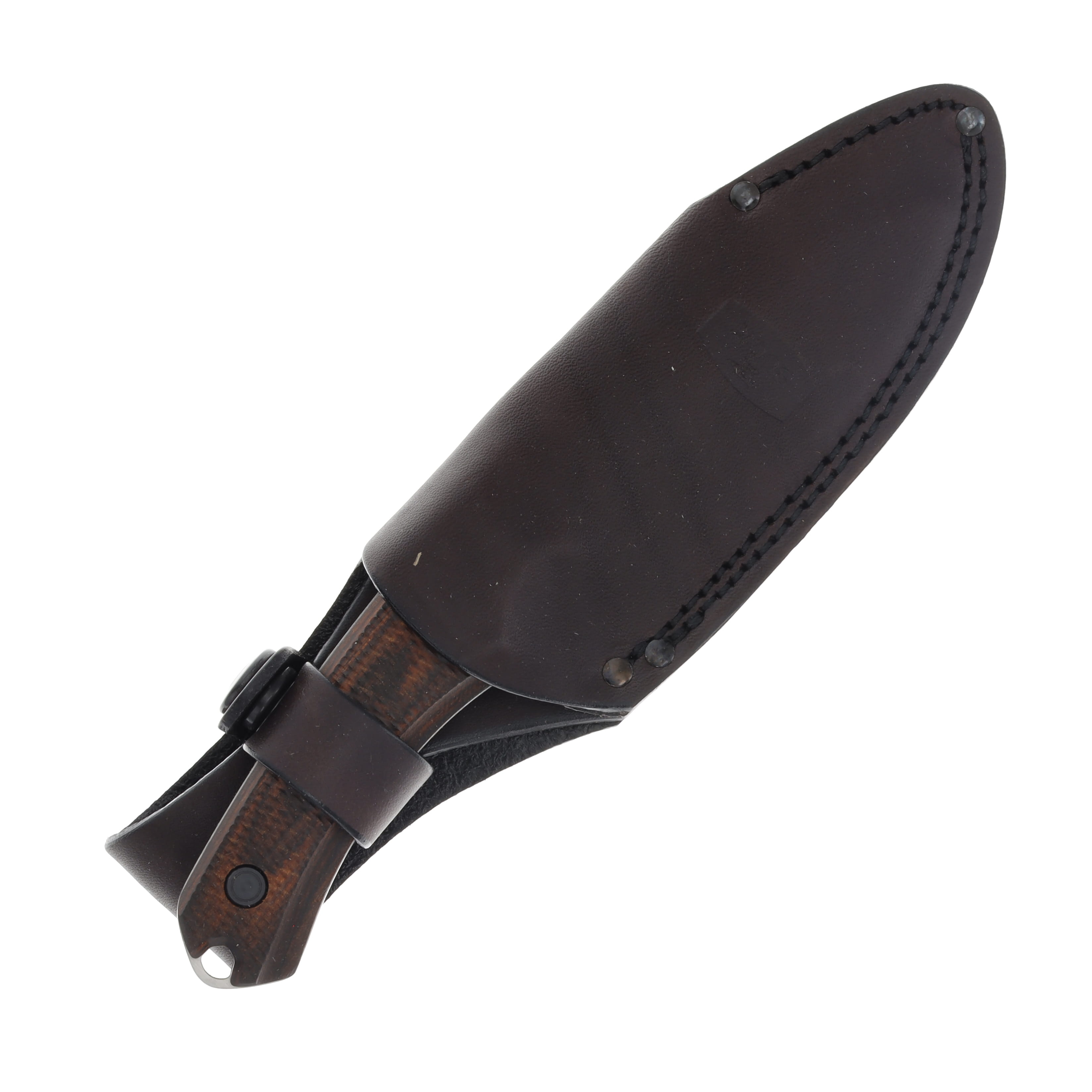 Buck 664 Alpha Hunter Fixed Blade Knife BU13466 View 3