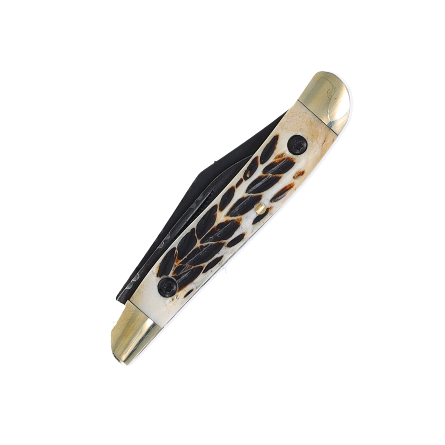 Frost Silverhorse Stoneworks Jigged Stag Bone Peanut Folding Knife FRSHS107BT View 4