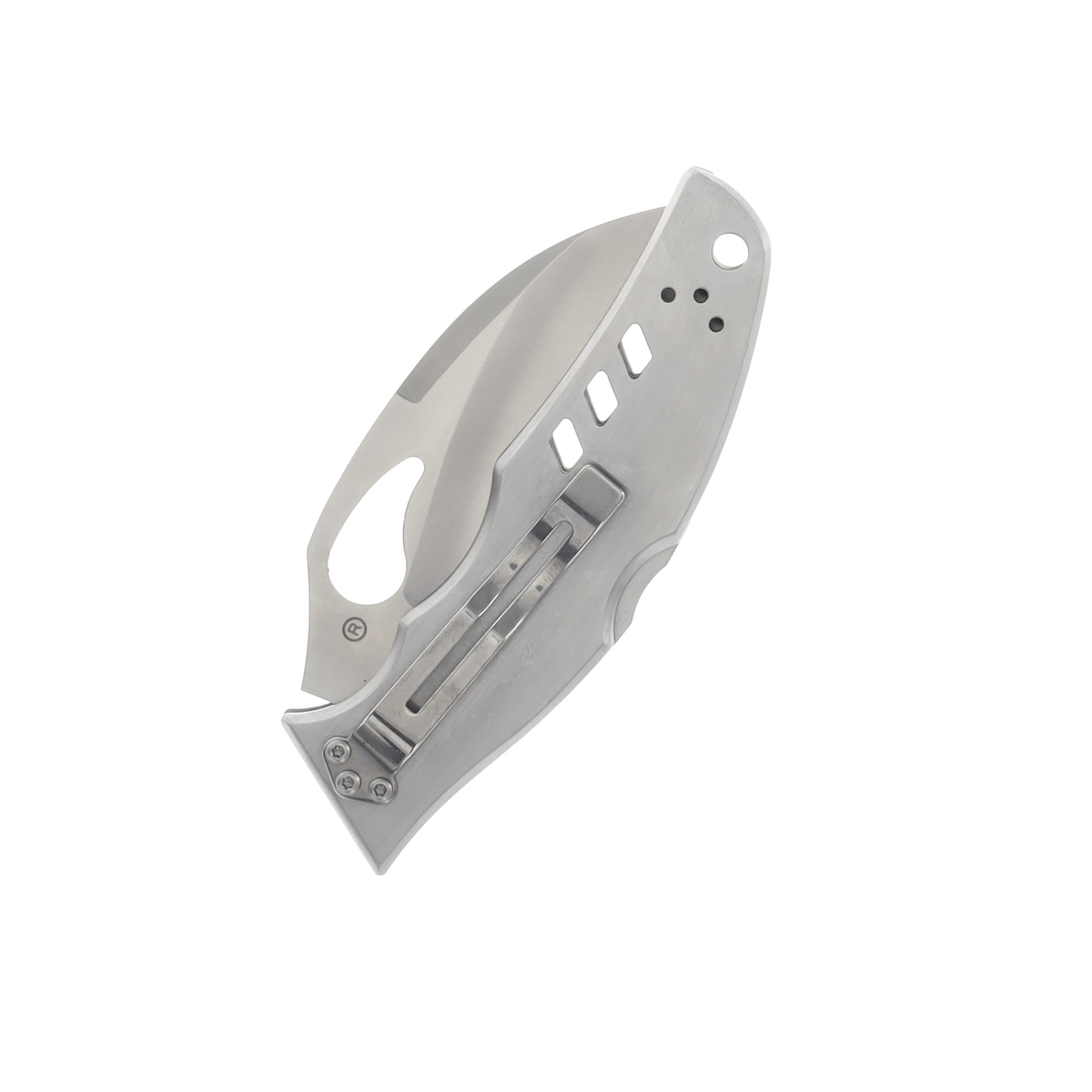 Spyderco Byrd Crossbill Stainless 3.25 Inch Plain Satin Hawkbill SPBY07P View 2