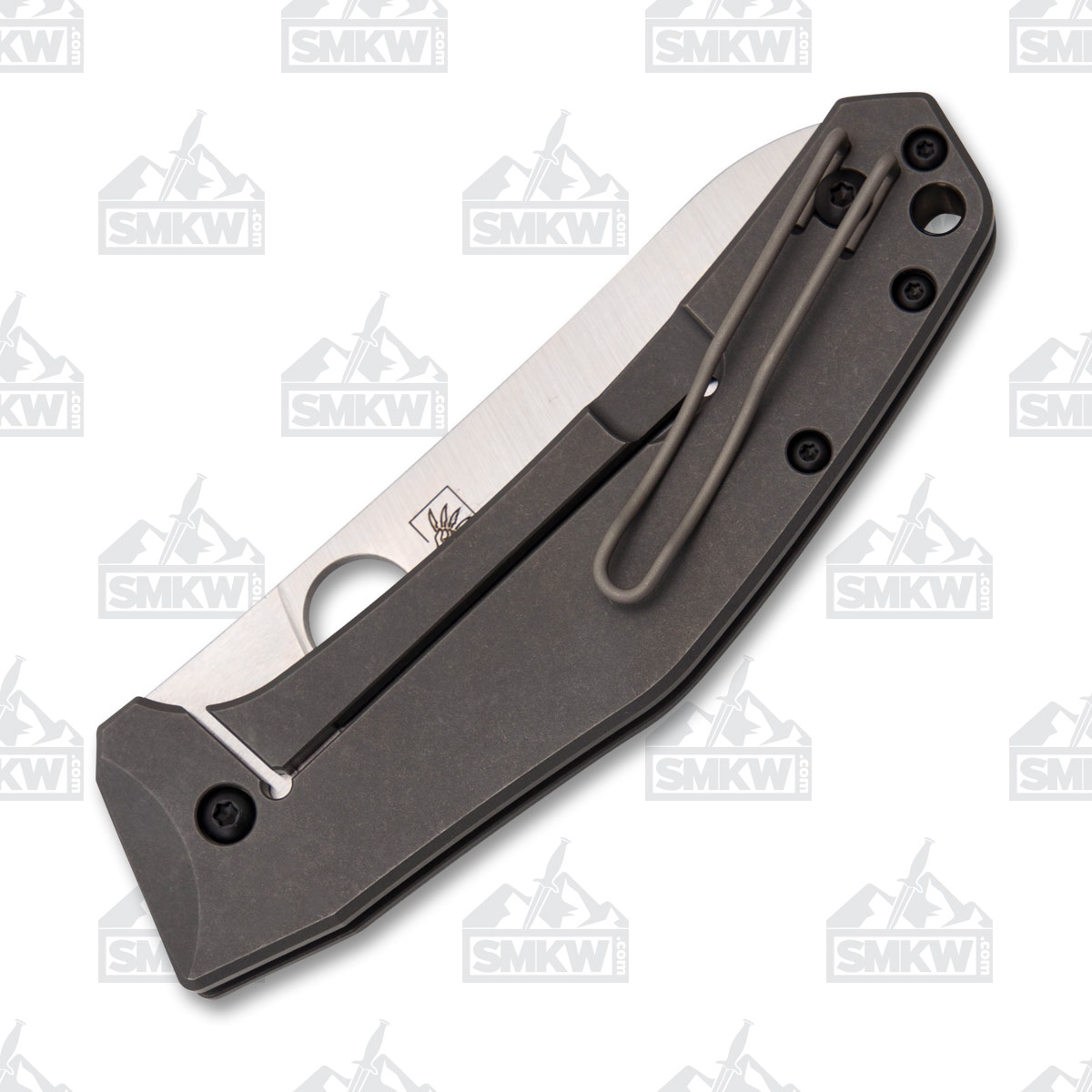 Spyderco SpydieChef Folding Knife SPC211TIP View 6