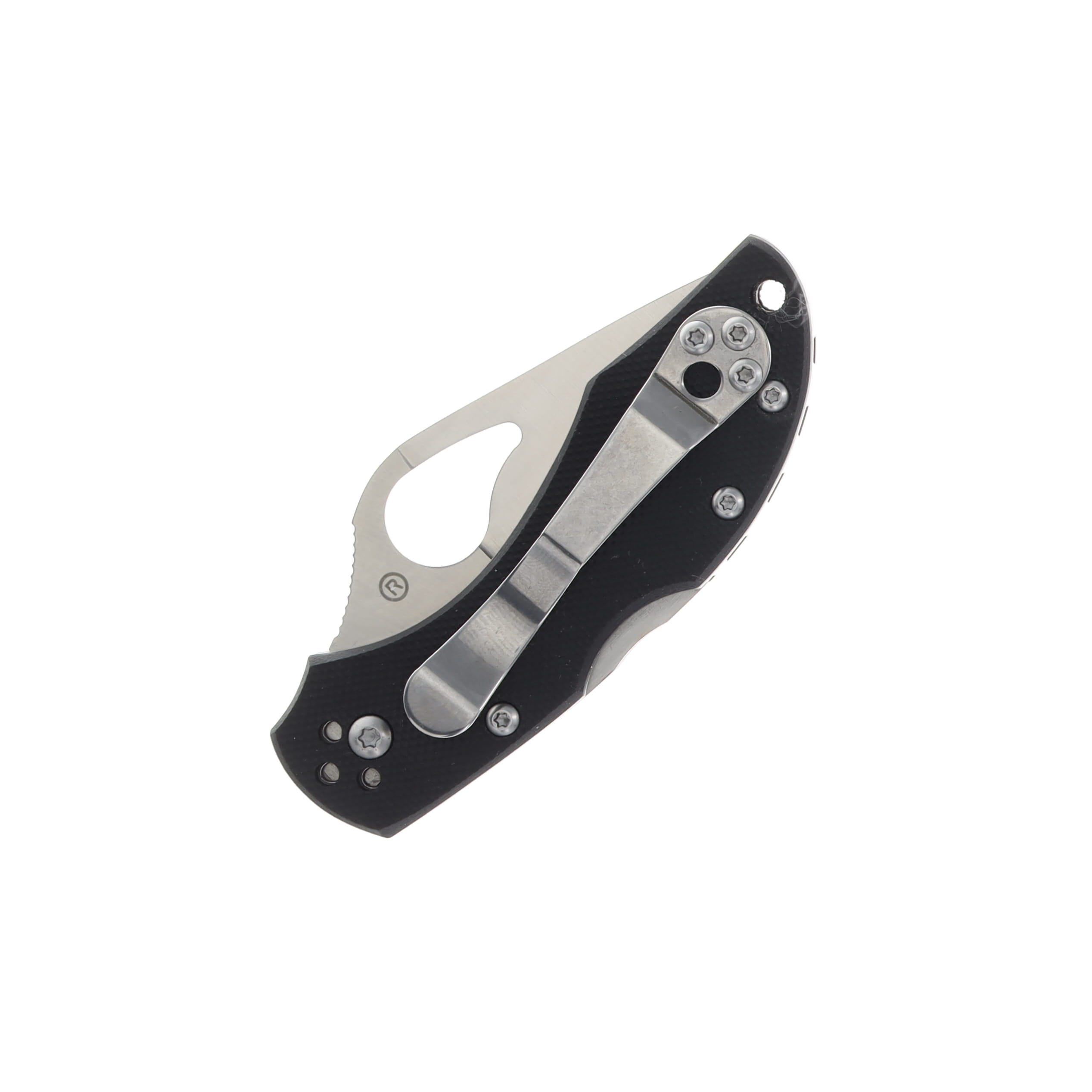 Spyderco Byrd BY10GP2 Robin 2 G10 Folding Knife 2.5in Satin Plain Blade SPBY10GP View 2