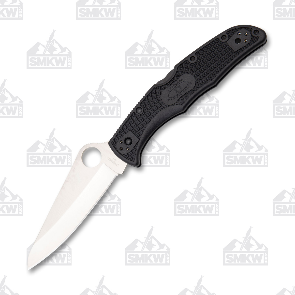 Spyderco Pacific Salt 2 Folding Knife SPC91PBK2 View 2