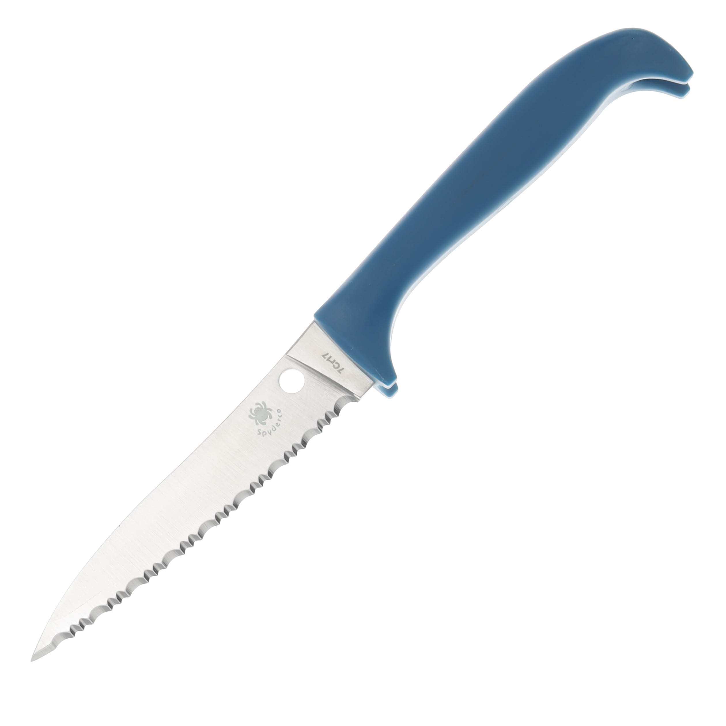 Spyderco Counter Puppy Fixed Blade Knife 3.48in Serrated Edge Blue Polymer SPK20SBL View 1