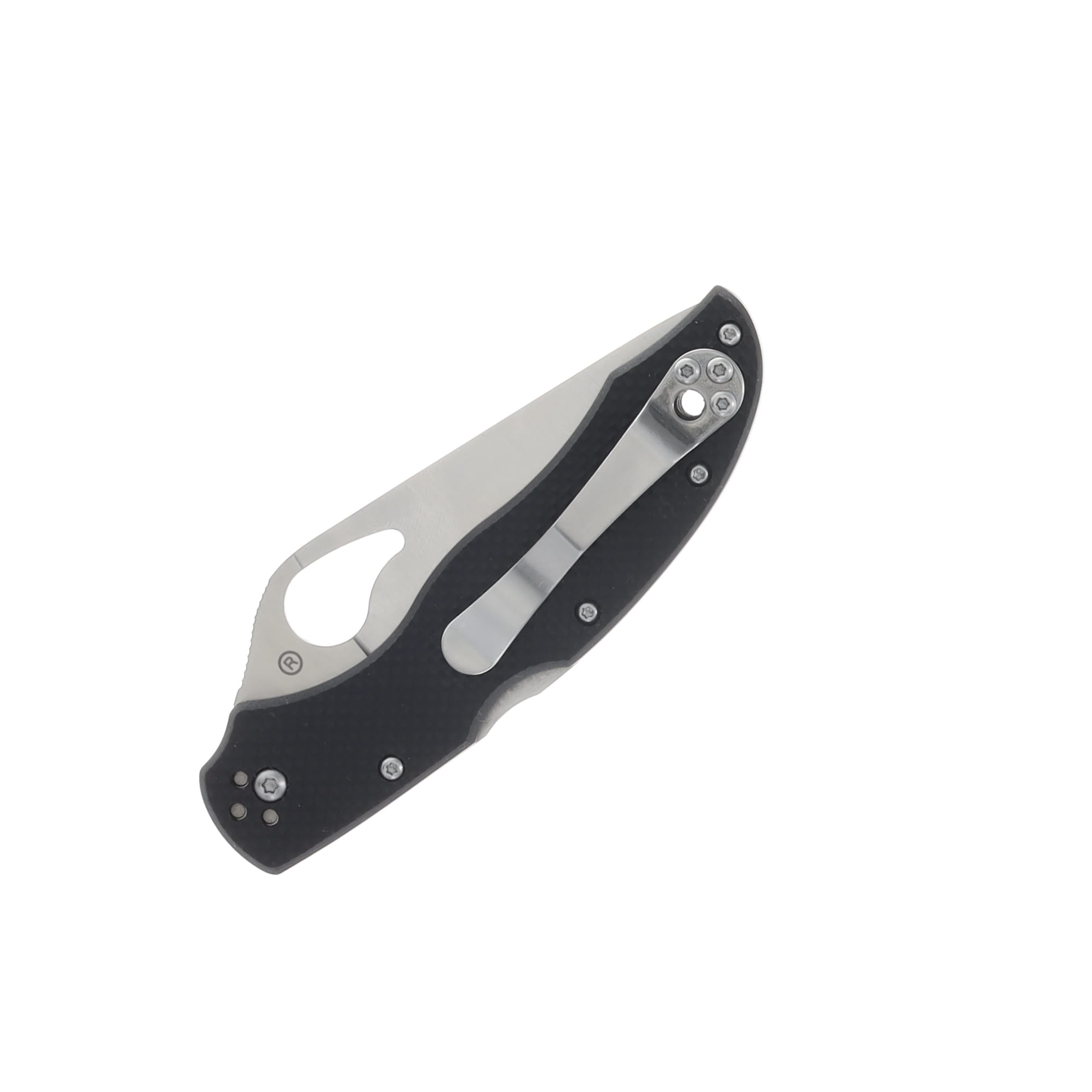 Spyderco Byrd Harrier 2 Folding Knife Plain Edge SPBY01GP2 View 2
