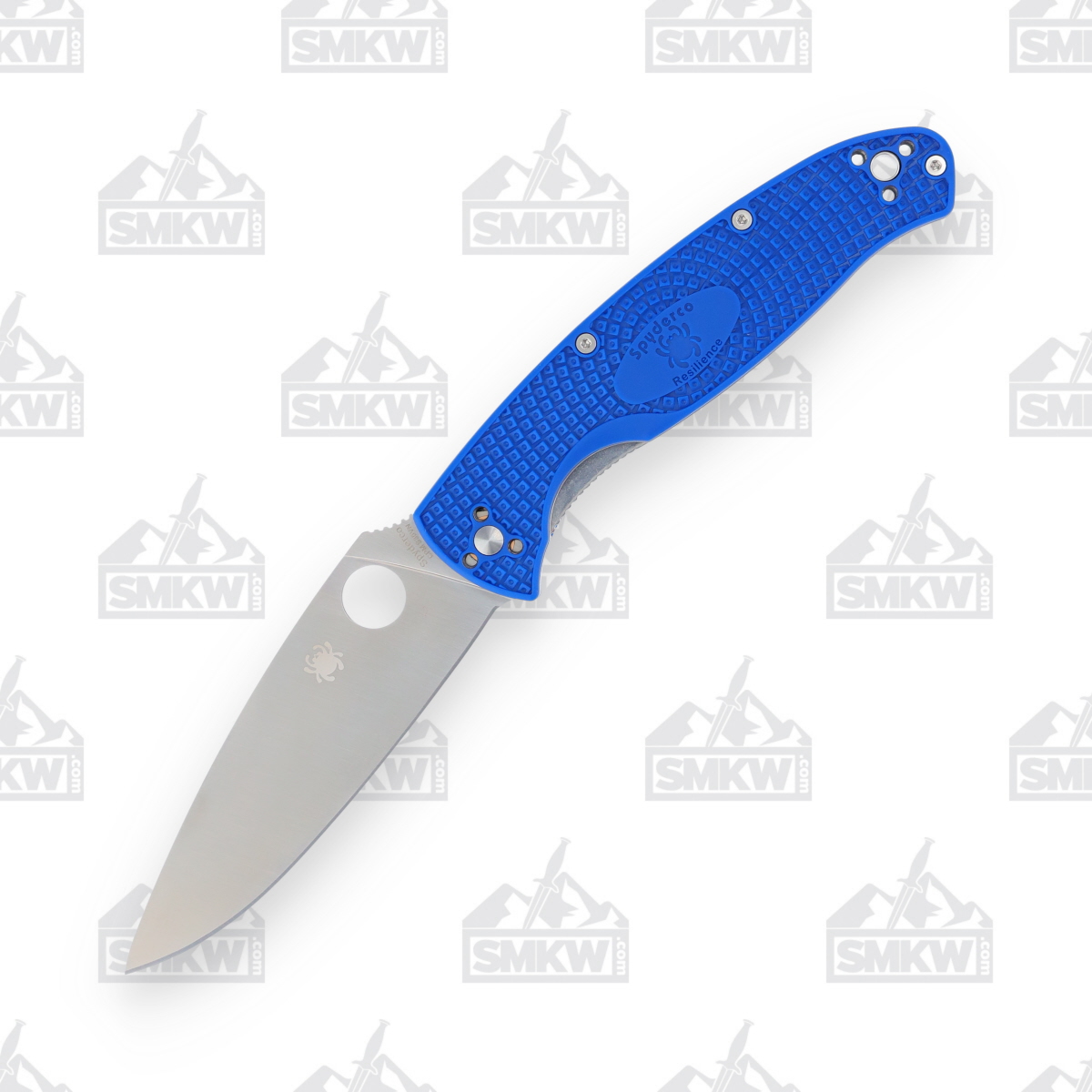 Spyderco Resilience Lightweight Folding Knife Blue FRN 4.25in Satin Plain Blade SPC142PBL View 2