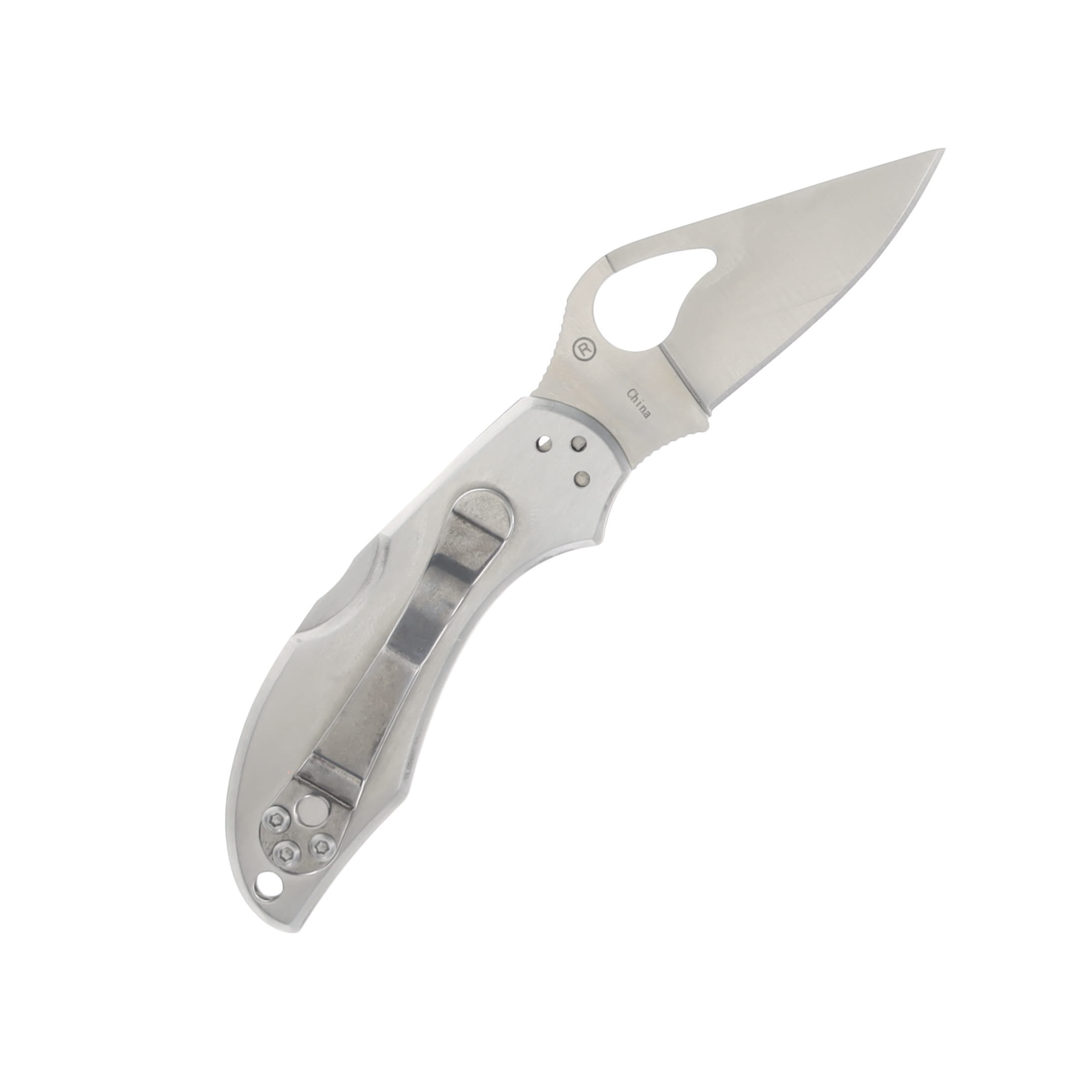 Spyderco Byrd Robin 2 Stainless 2.4 Inch Plain Satin Clip Point SPBY10P View 2