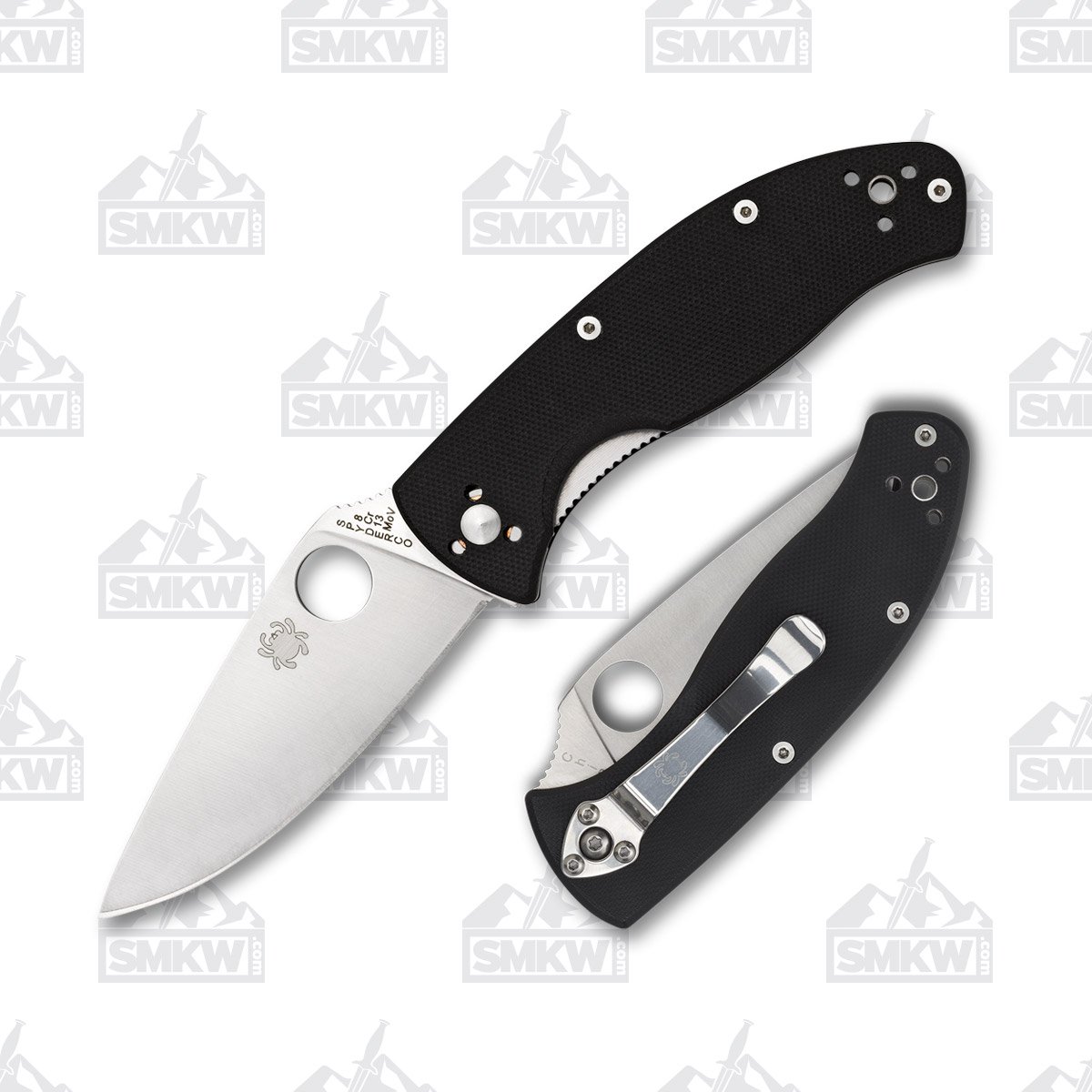 Spyderco Tenacious Folding Knife Black G-10 SPC122GP View 1