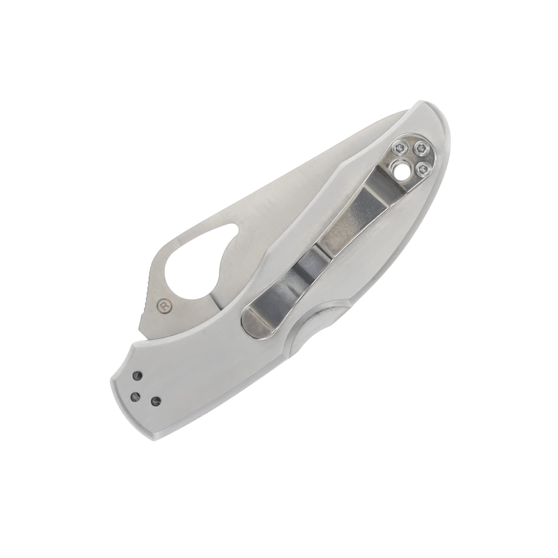 Spyderco Byrd Meadowlark 2 Stainless Steel Knife 2.97in Combo Edge Blade SPBY04PS View 4