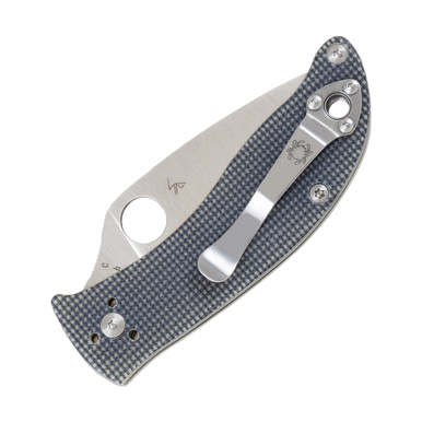 Spyderco Alcyone Folding Knife Gray 2.91 Inch Plain Satin Leaf SPC222GPGY View 4