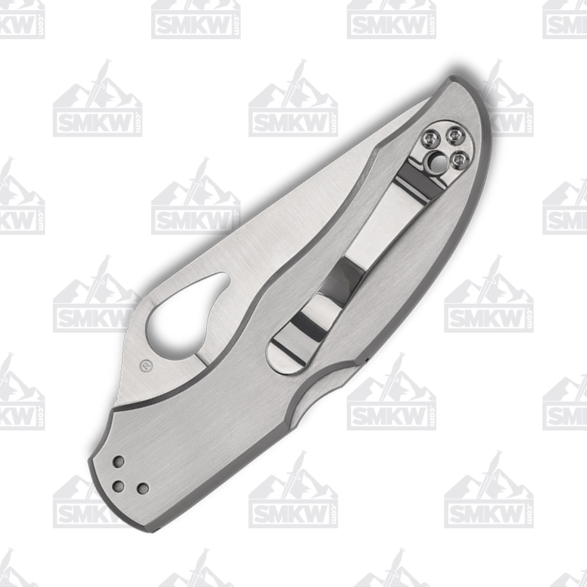 Spyderco Byrd Harrier 2 Folding Knife Plain Edge Stainless SPBY01P2 View 3