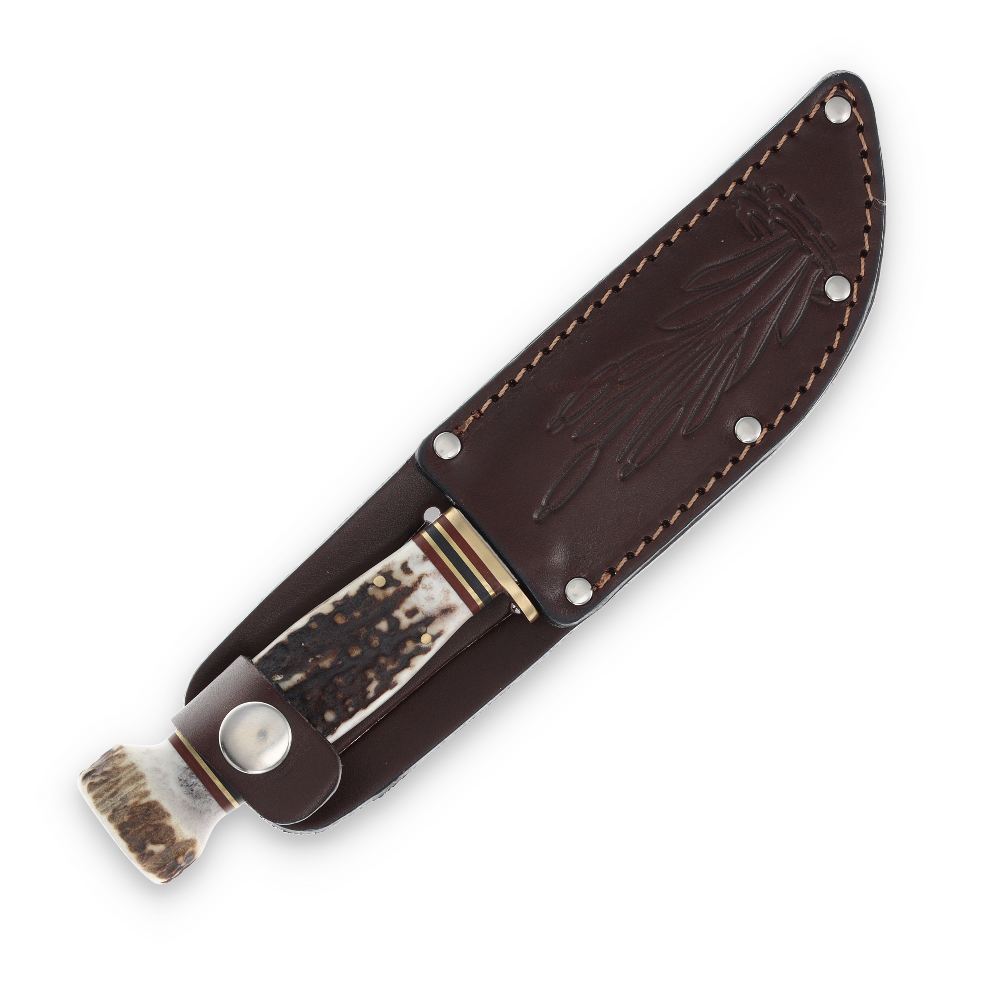 Marble's Woodcraft Stag Hunter Fixed Blade Knife MR80203 View 5
