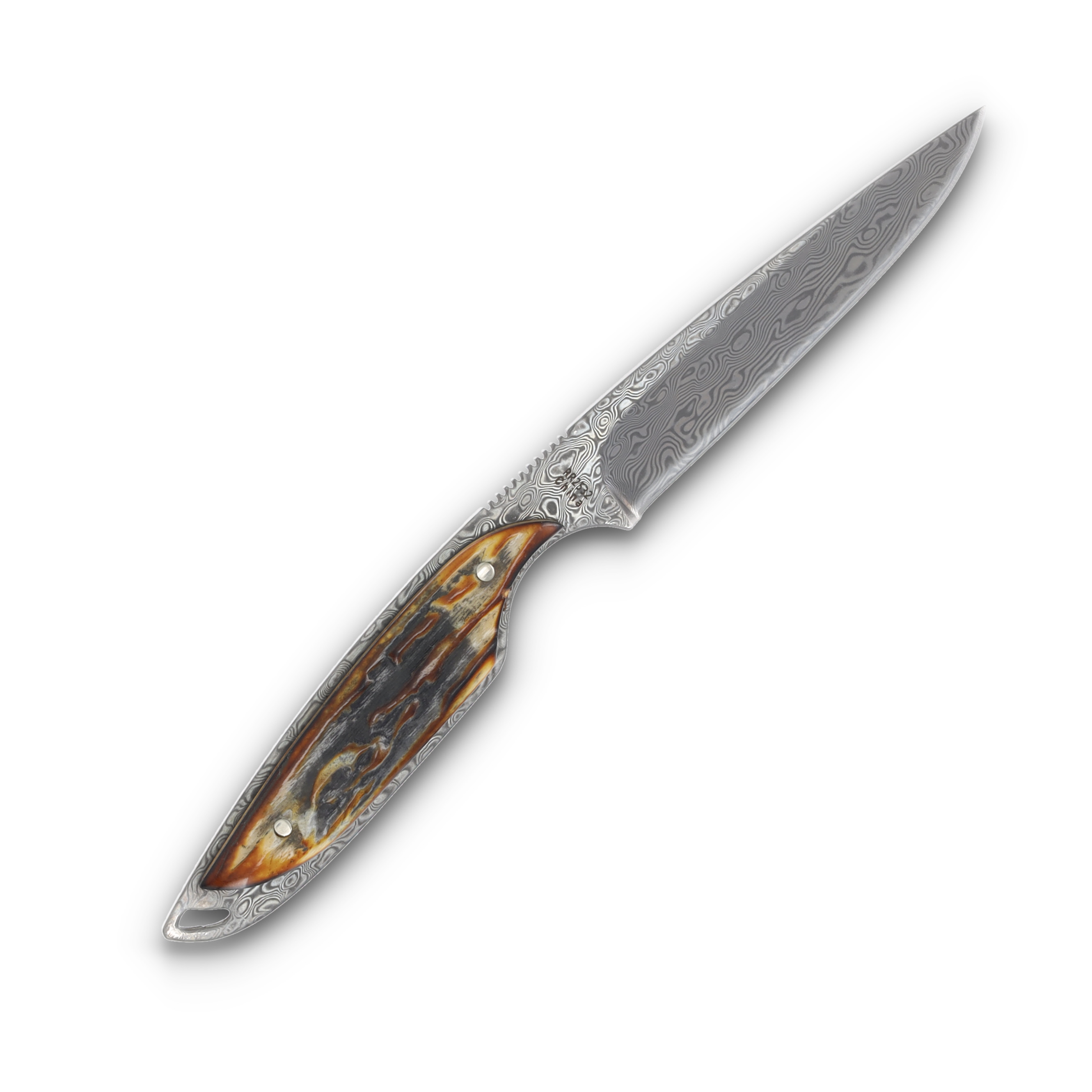 Rough Ryder Streamline Fixed Blade Knife Cinnamon Bone 3.25in Damascus RR2532 View 4
