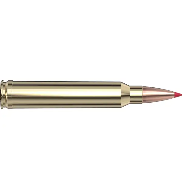 Hornady Superformance .300 Win Mag 165gr CX Solid Poly Tip Ammo 20Rd 820264 View 2