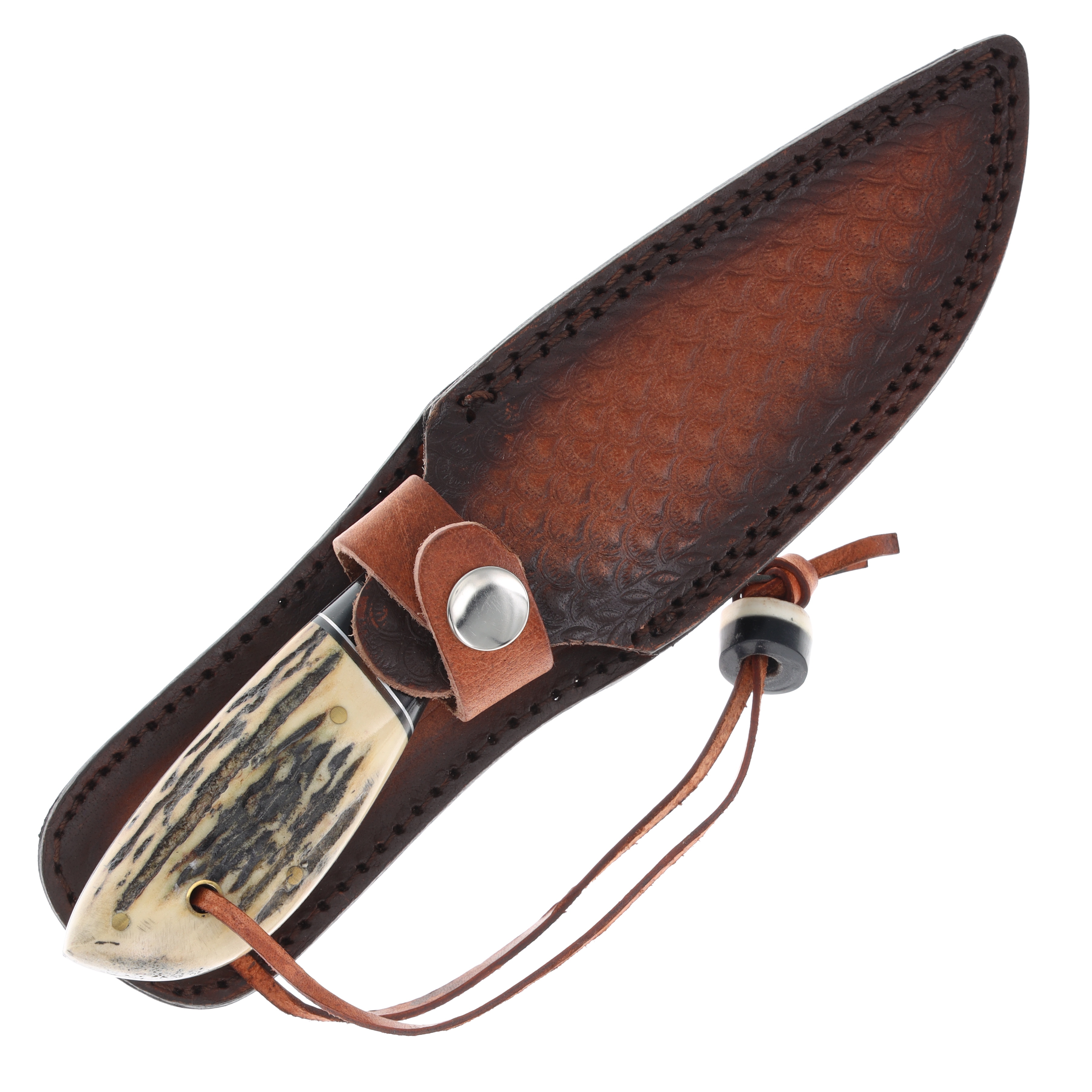 Rough Ryder RR2607 Stag Skinner Fixed Blade Knife RR2607 View 5