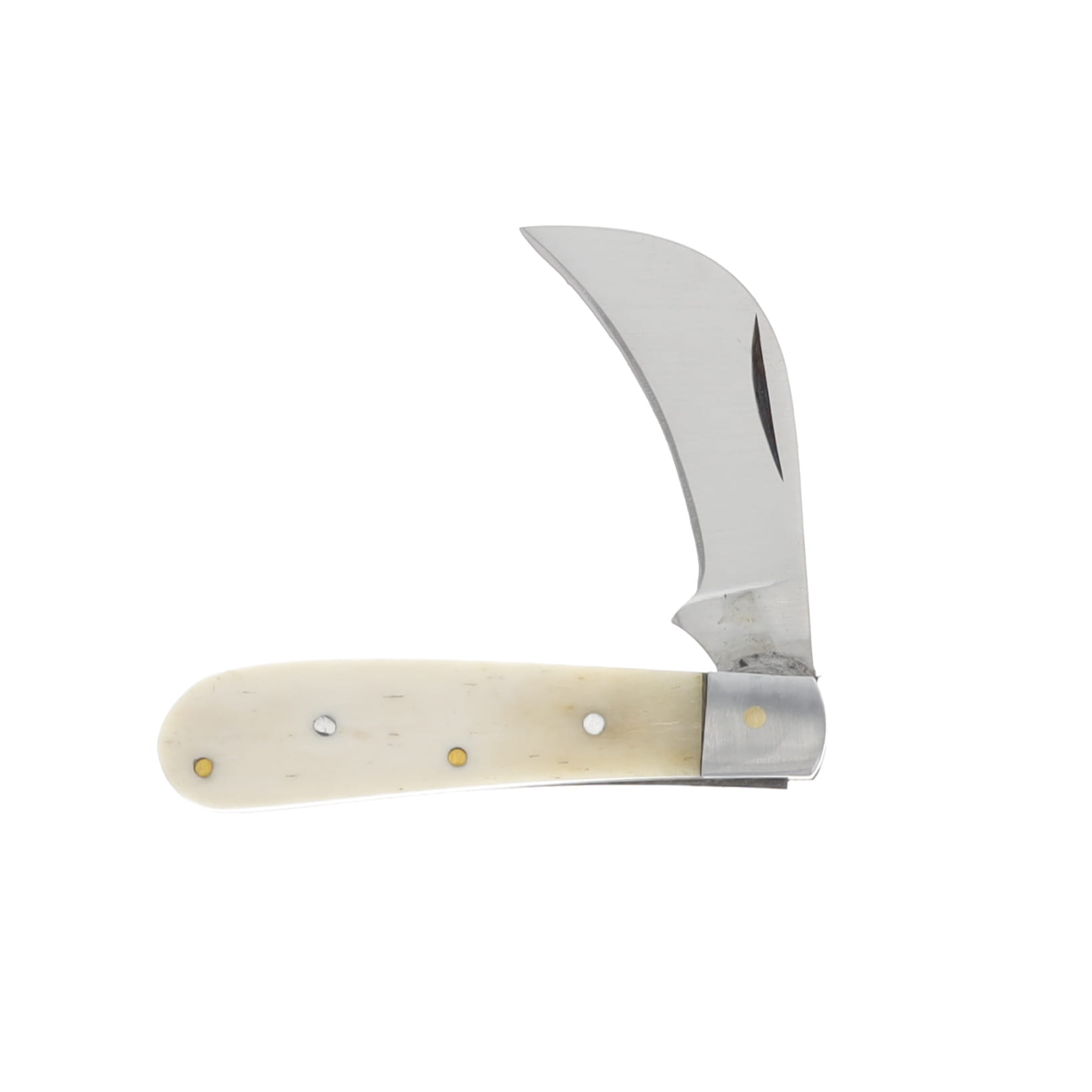 Natural Bone Mini Hawkbill Folding Knife 203048BO View 1