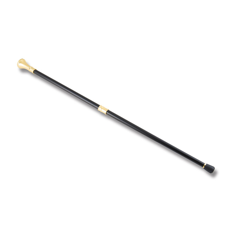 Vietnam Veteran Walking Cane KN-1784 SX1784 View 2