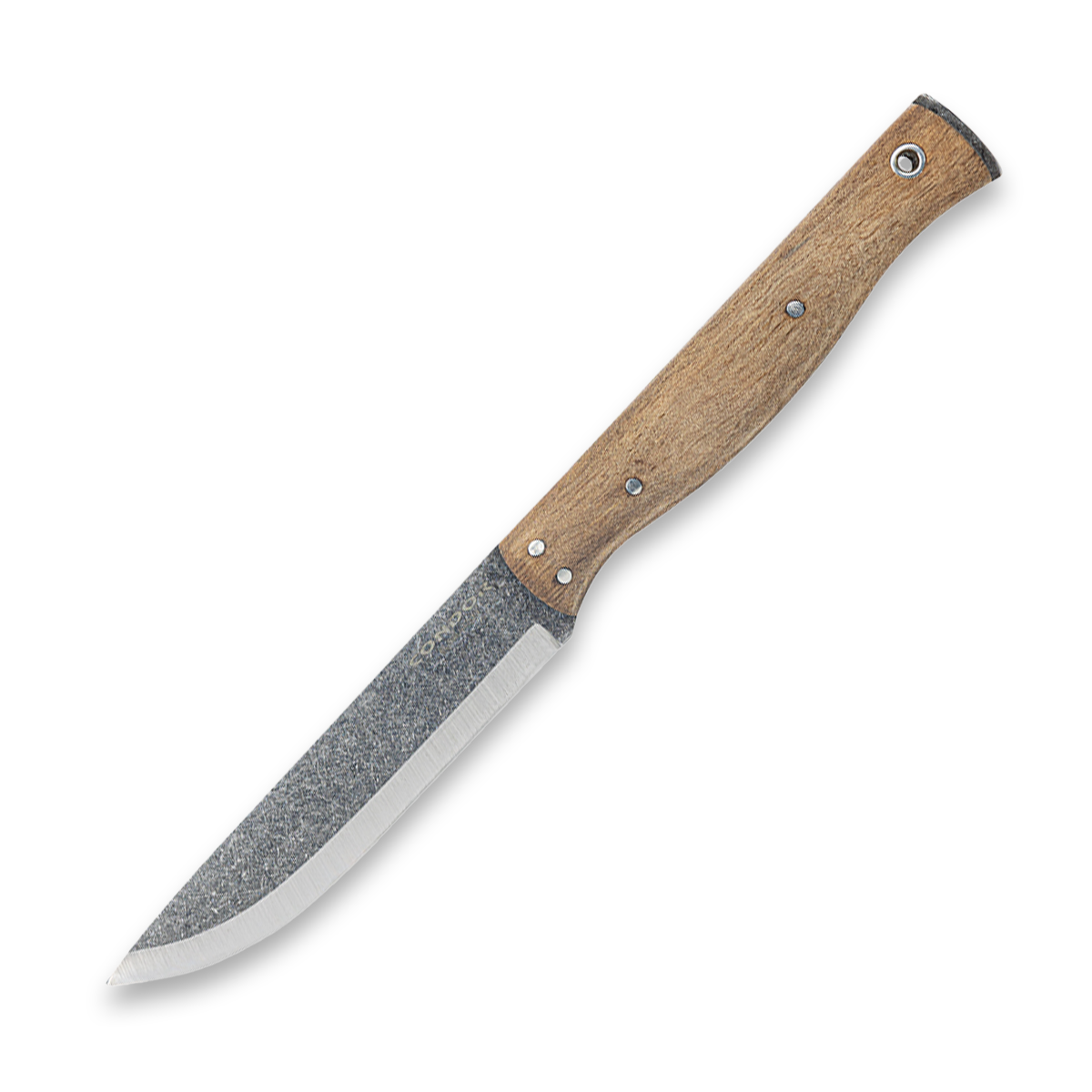 Condor Narrowsaur Fixed Blade Knife 1095/Walnut with Leather Sheath CTK63869 View 1