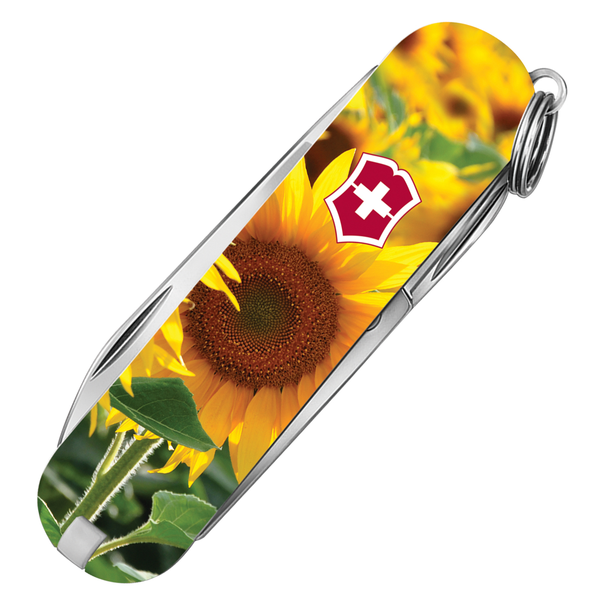 Victorinox SMKW Exclusive Classic SD Swiss Army Knife Sunflower V1155 View 2