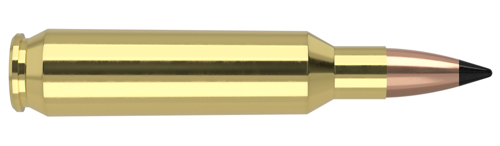 Nosler Varmageddon 22 Nosler 53gr Polymer Tip Flat Base Brass 20 Rds NOS65177 View 2