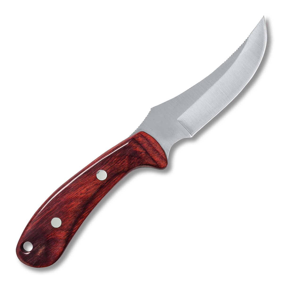 Case Rosewood Ridgeback Hunter Fixed Blade Knife CA398 View 2