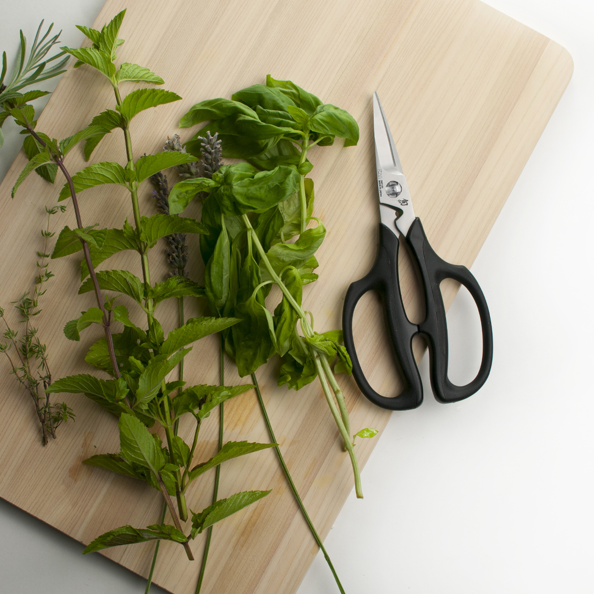 Shun Cutlery 7.5" Herb and Floral Shears SDM7100 View 4