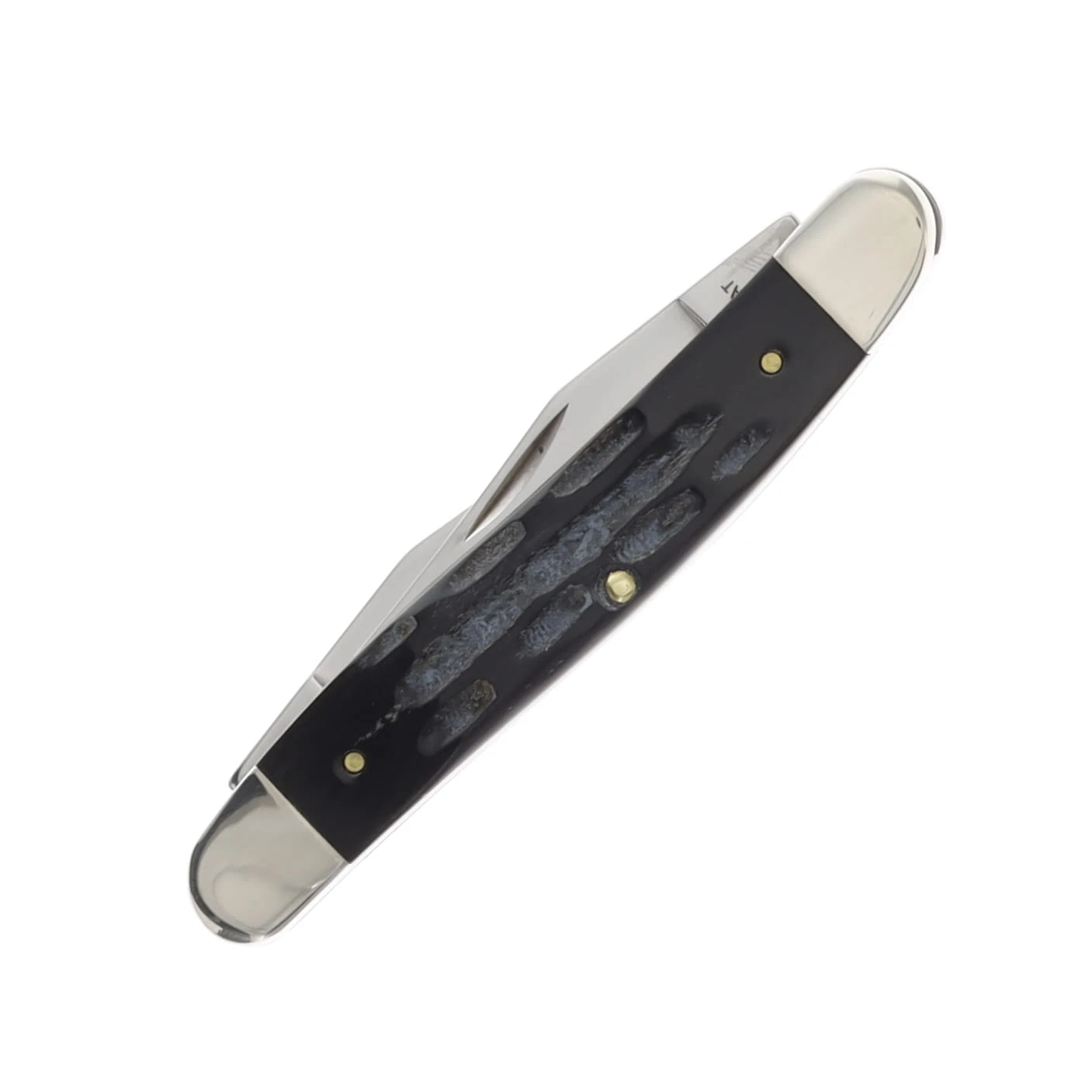 Case XX Muskrat Folding Knife Jigged Buffalo Horn CA65032 View 4