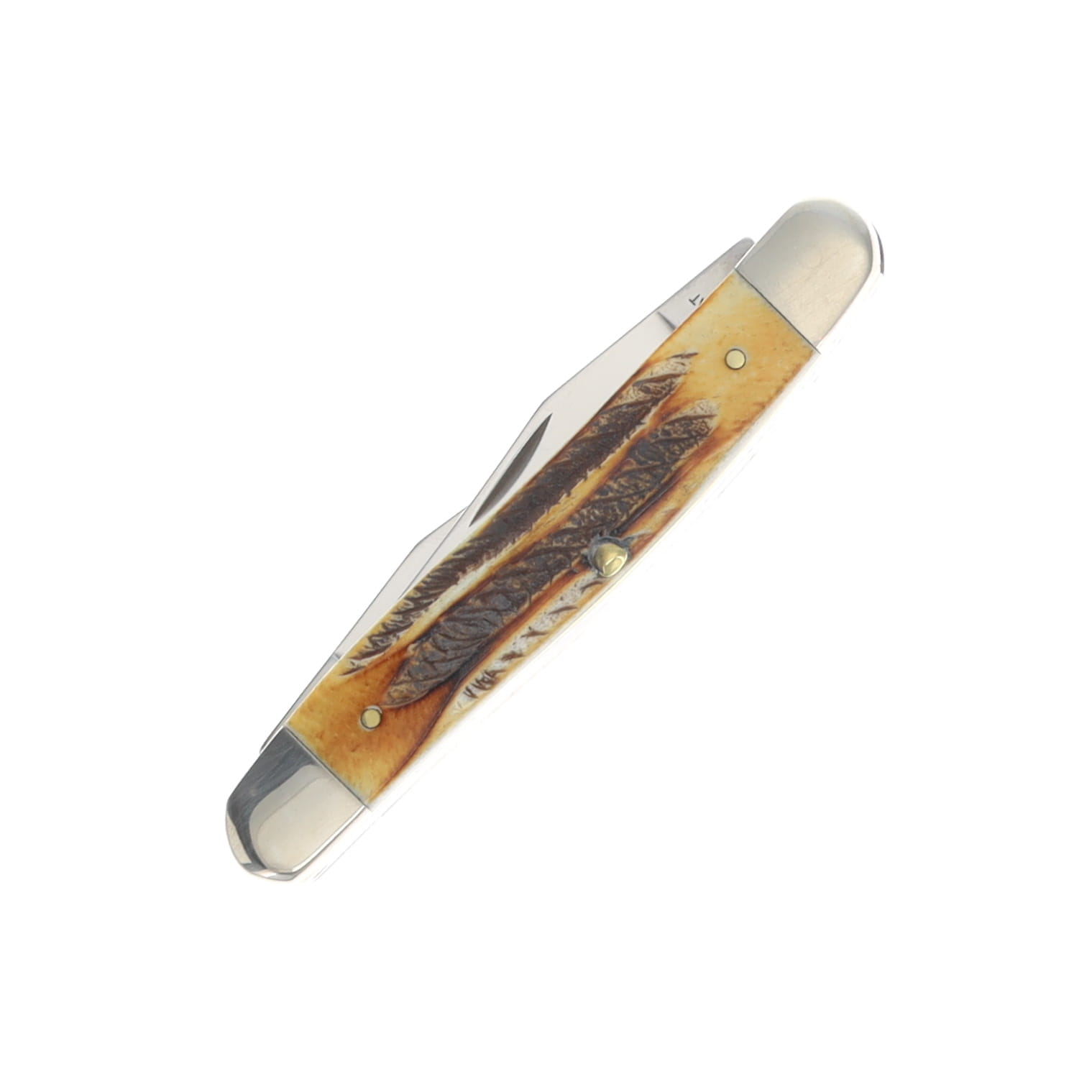 Case XX Muskrat Folding Knife 6.5 Bonestag Jigged CA65346 View 4