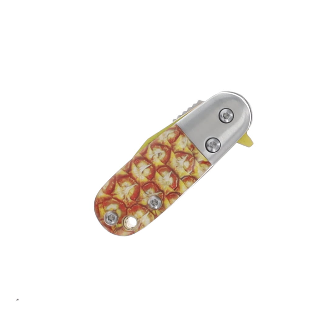 Rough Ryder Prickly Pineapple Spring-Assisted Mini Folding Knife RR2723 View 5