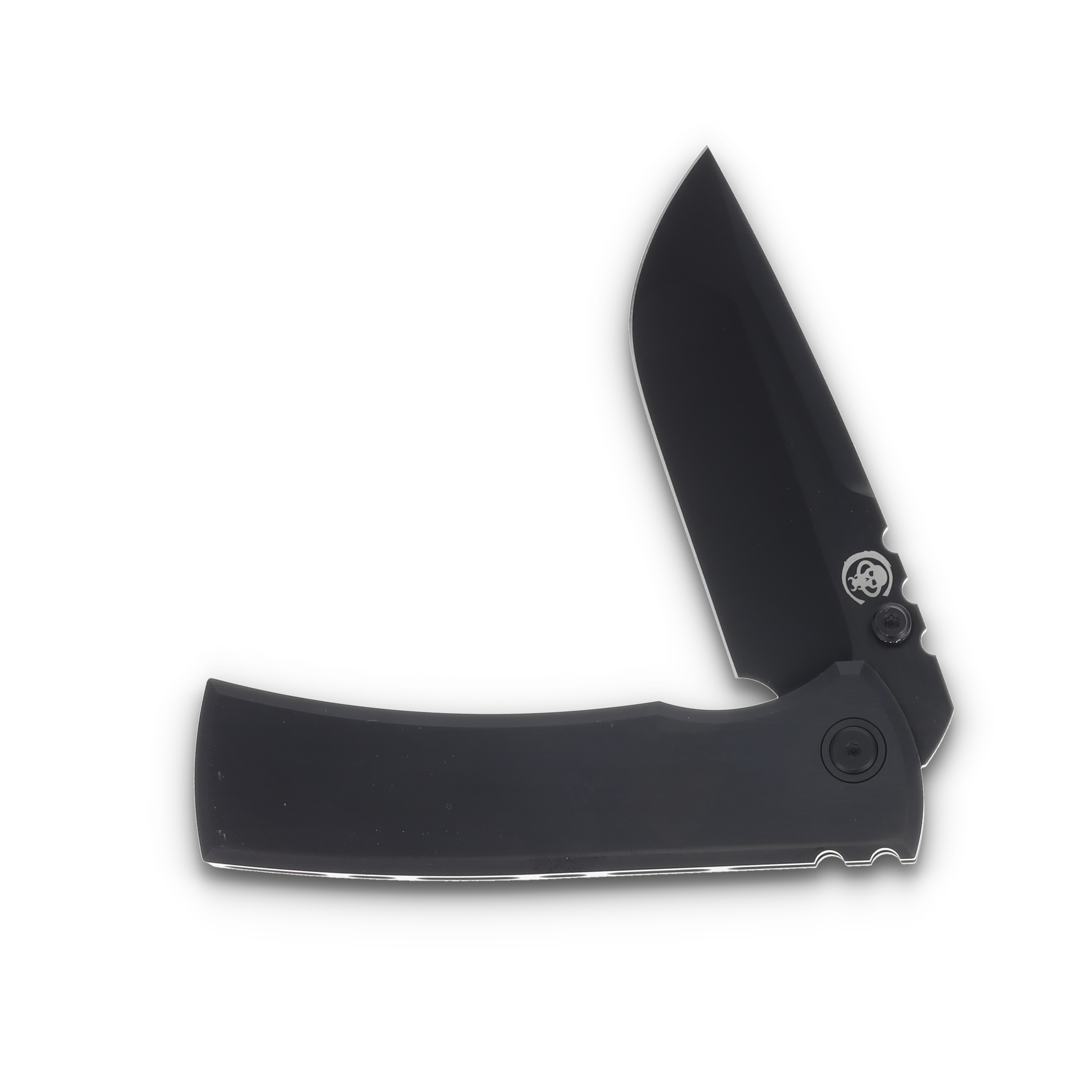 Chaves Integral Redencion 229 3.75 Inch Plain Black PVD Drop Point View 3