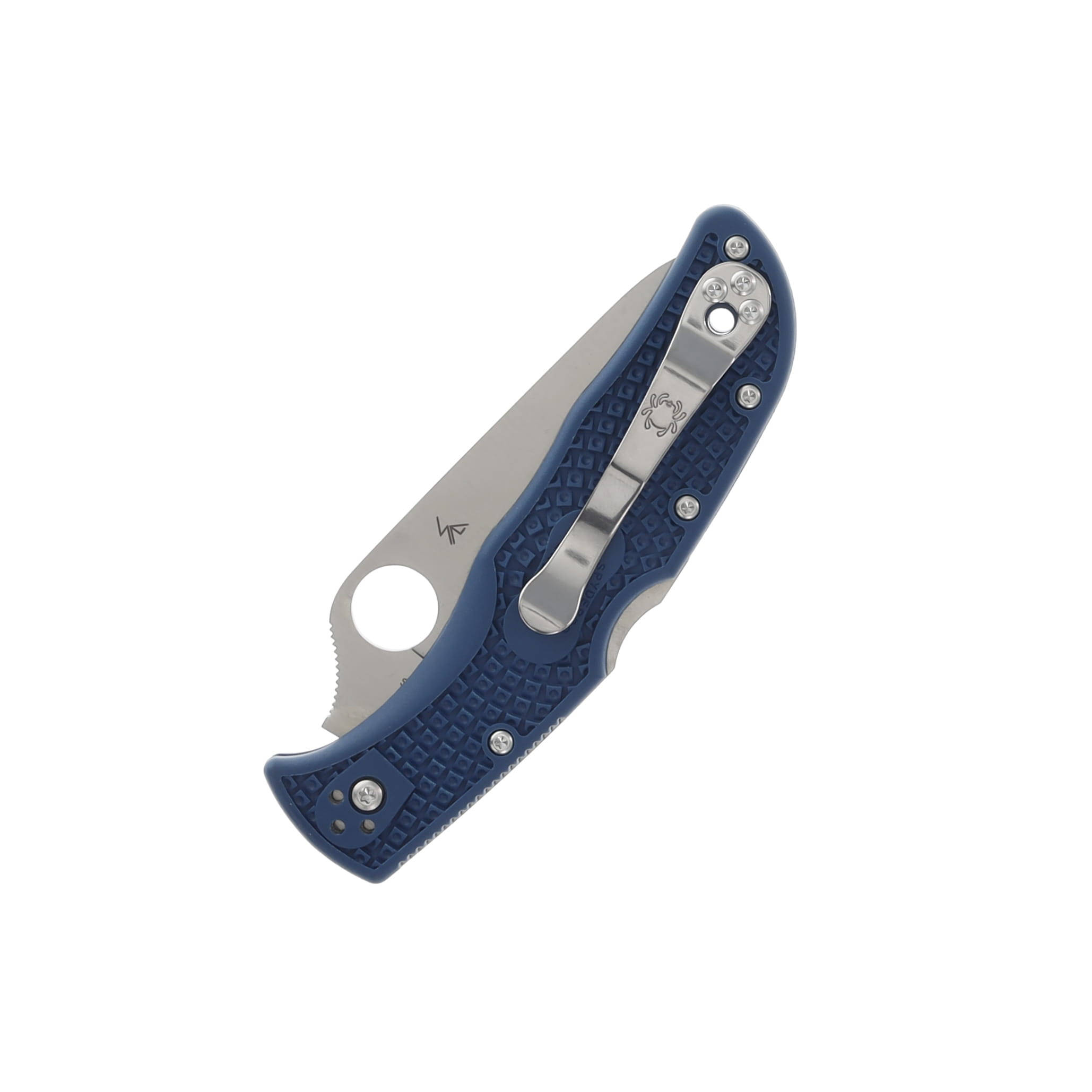 Spyderco Endela Lightweight Cobalt Blue 3.41in Plain Satin Clip Point SPC243PCBL View 4