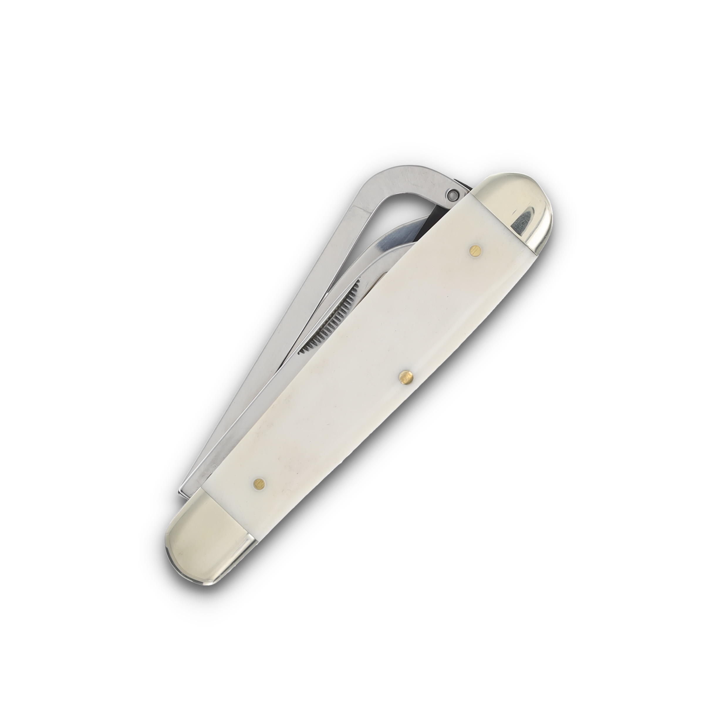 Robeson Gamecock Folding Knife White Smooth Bone Red Shield ROB632730W View 6