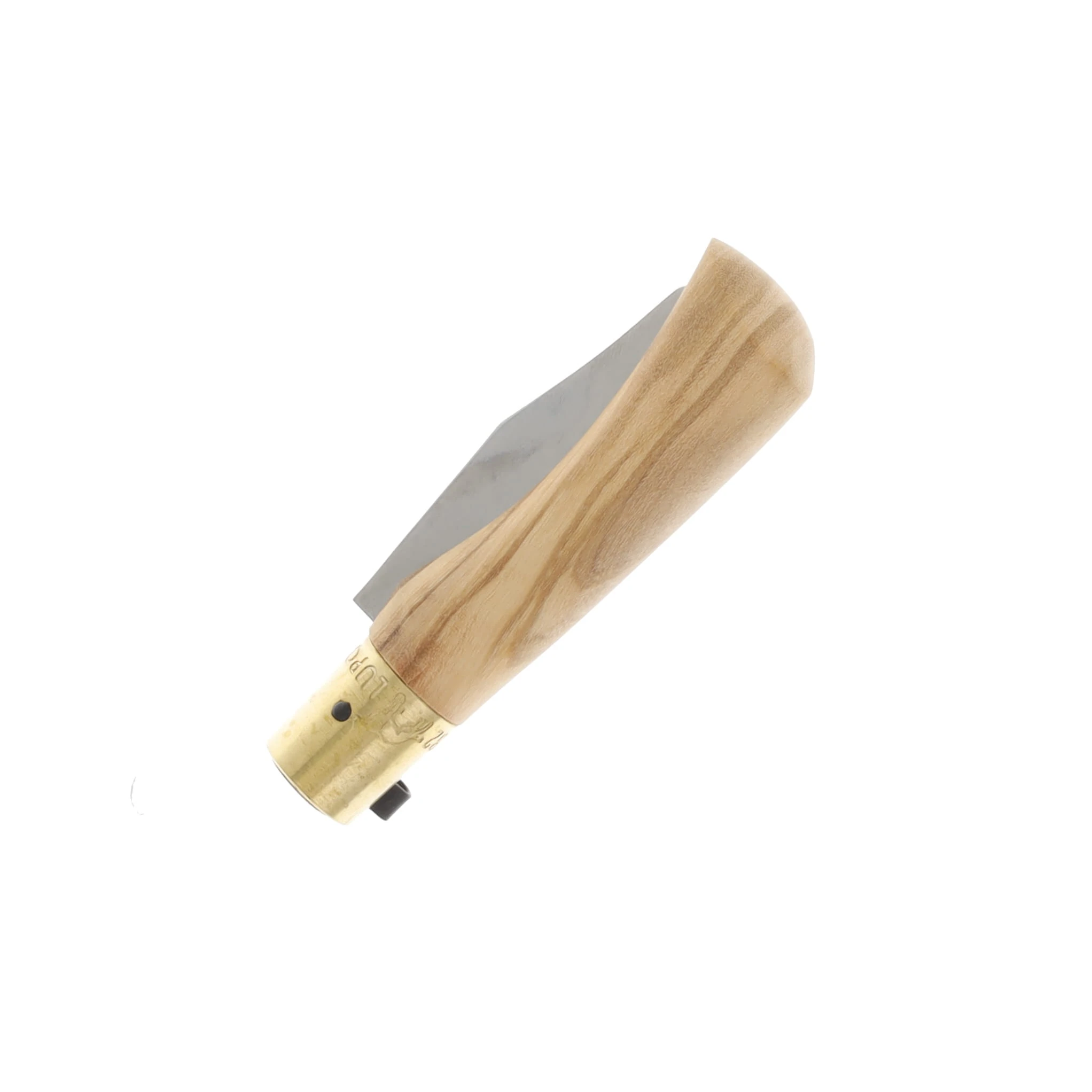Antonini Knives Old Bear OBY Babies Olive Wood Folding Knife Clip Point 9351/15_LU View 4