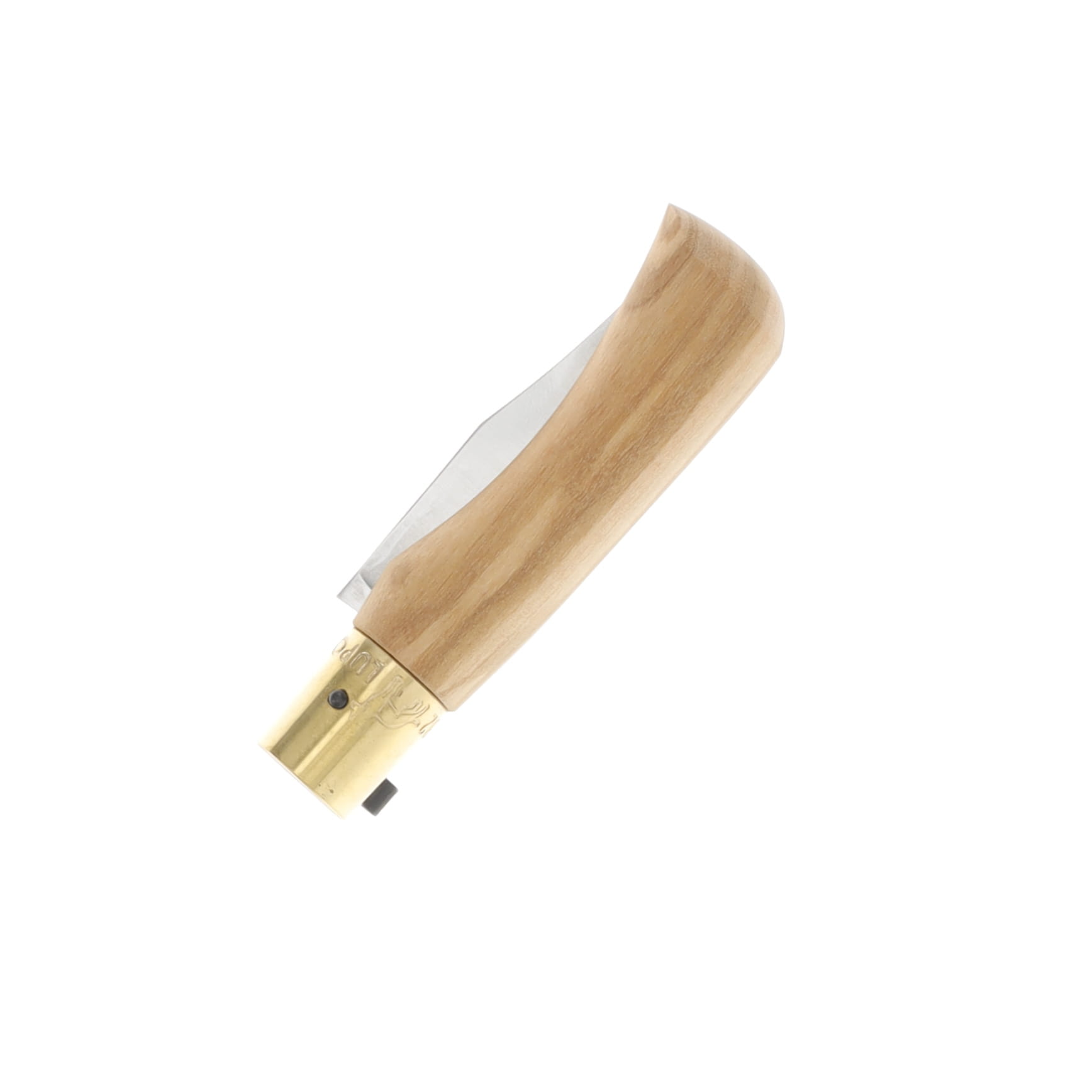 Antonini Old Bear Classical XS Olive Wood 2.36in Serr Satin Clip Point 9337/15_LU View 3