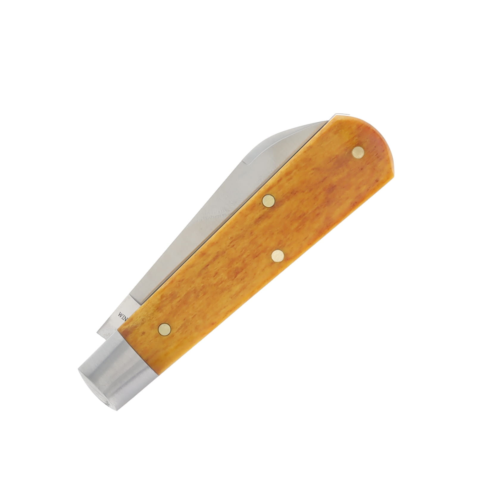 Dollar Knife Co. Osage Orange Camel Bone-Black Shield Folding Spear Point 2.75In CCDKCOSB-BLS View 5