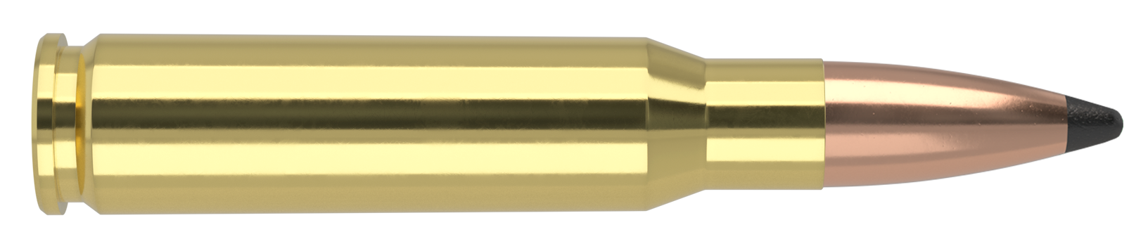 Nosler Whitetail Country .308 Winchester 165gr Solid Base 20 Rounds 40120 View 2